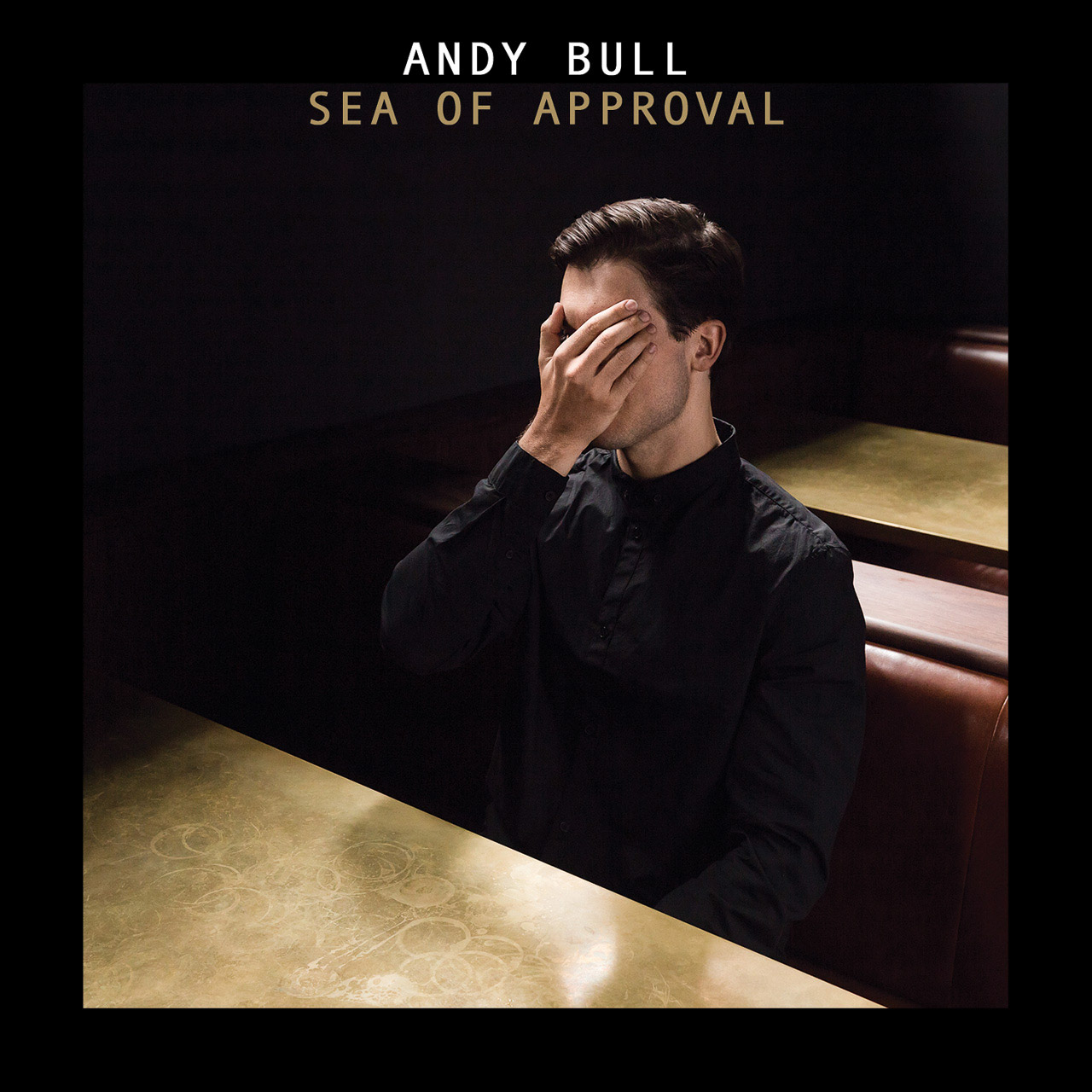 Andy Bull album cover