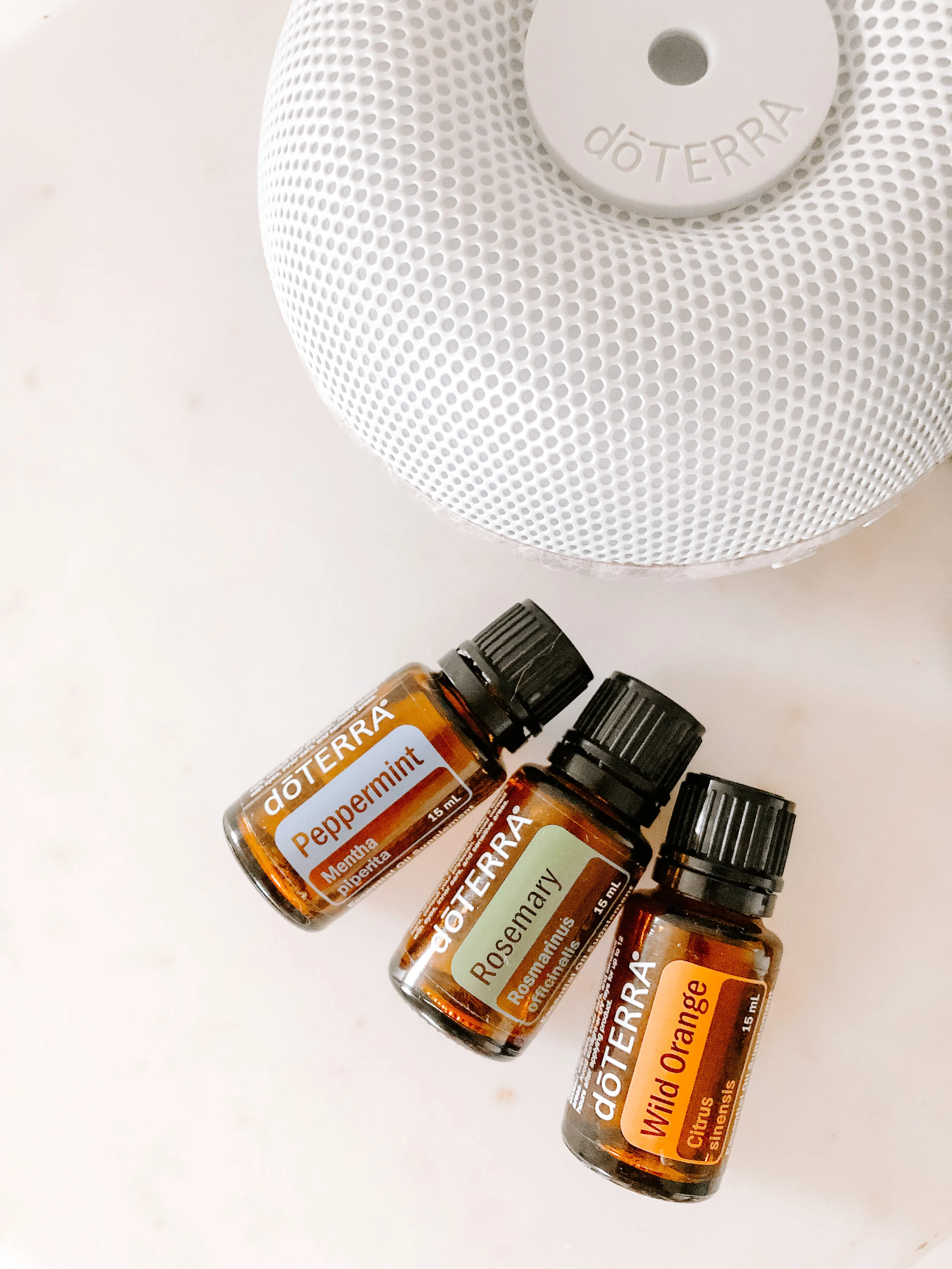 Back to School: Focus Blend for Studying