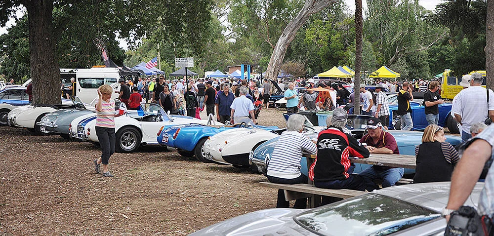 The Annual    David Calleja Memorial Carshow   .
