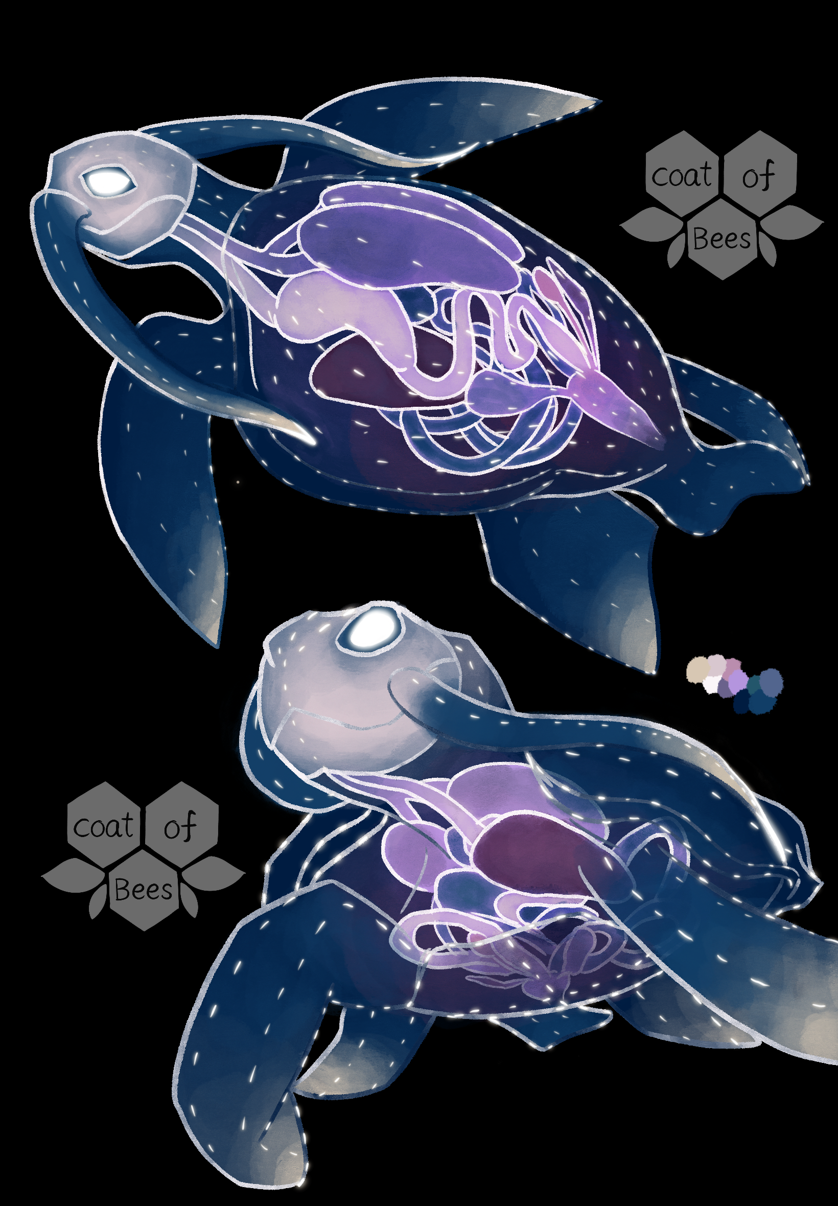 Sea Turtle Nudibranch