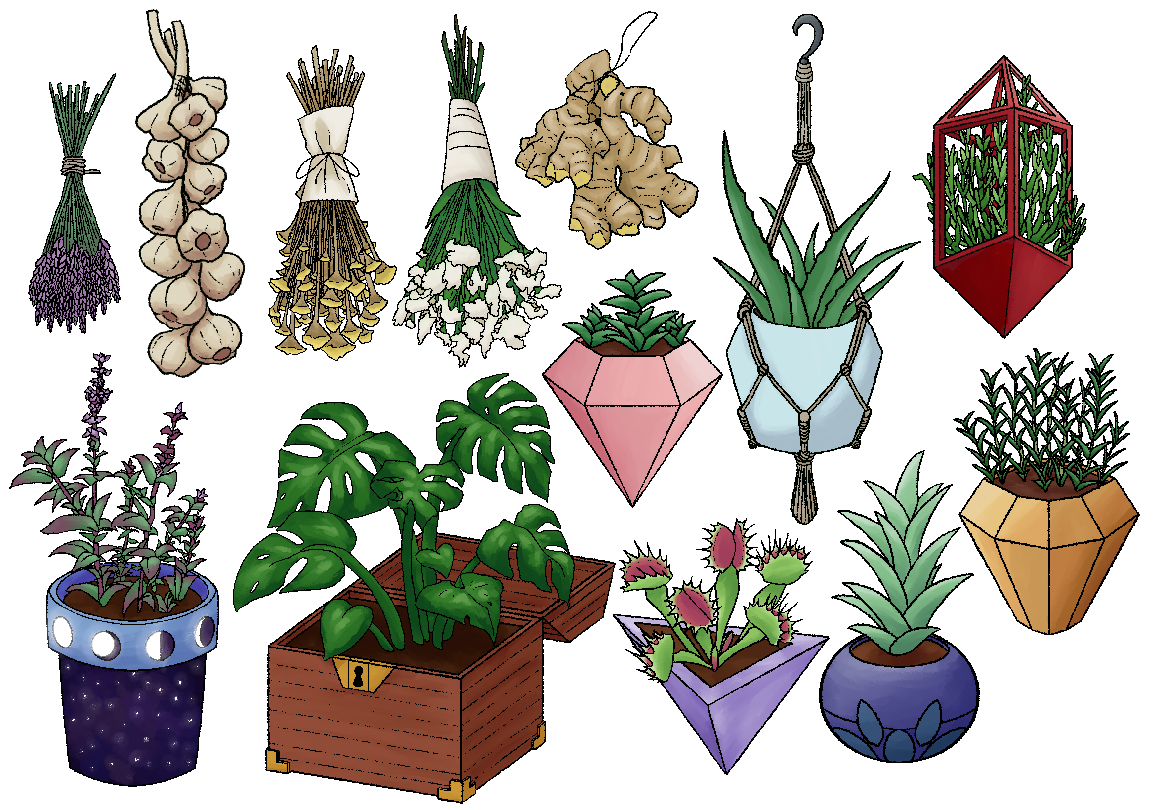Witch's_Kitchen_Plants_Prop_Design-color.png