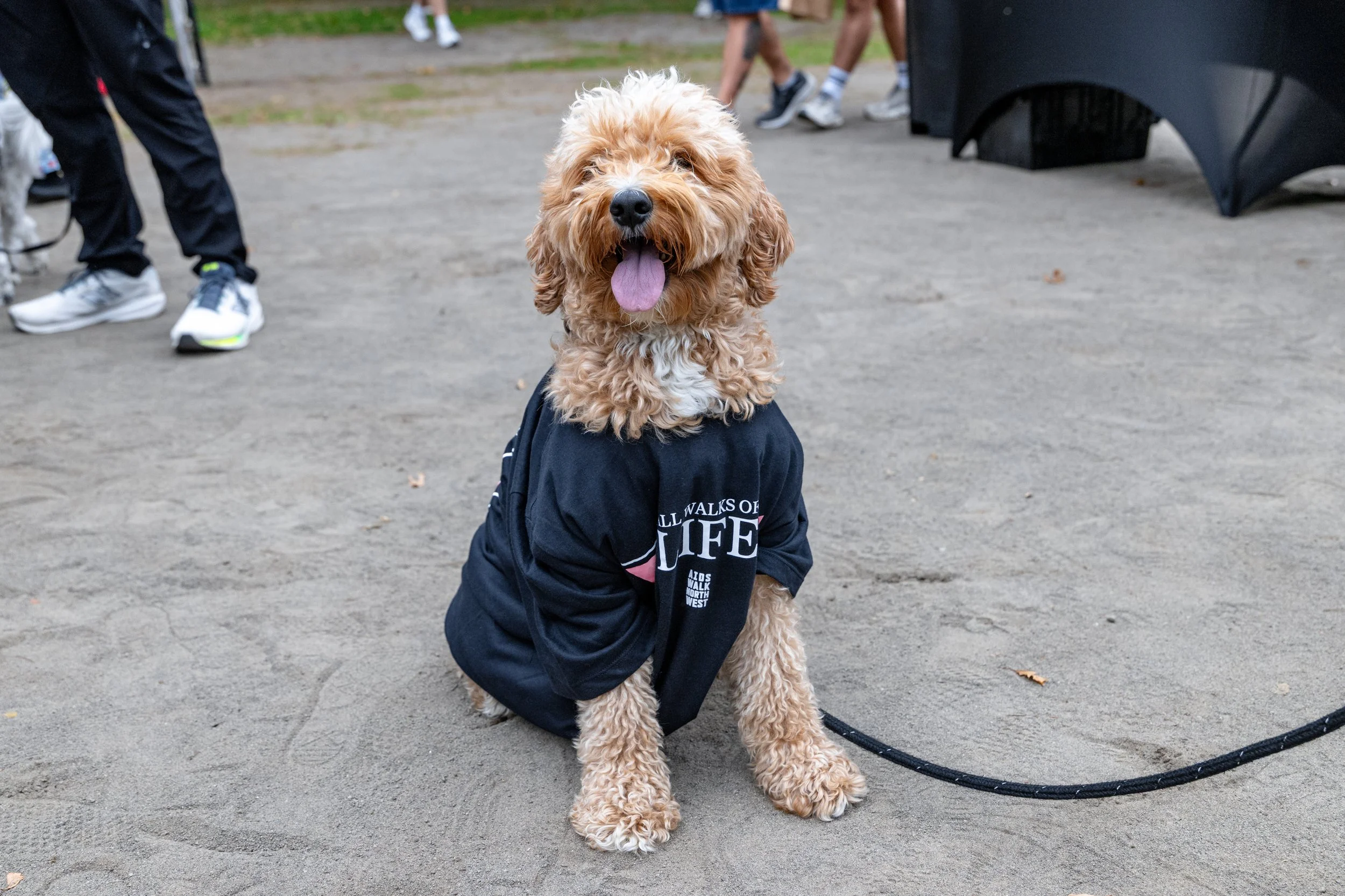 CAP AIDS Walk NW 9-19-26 - Tom Cook Photo-50.jpg
