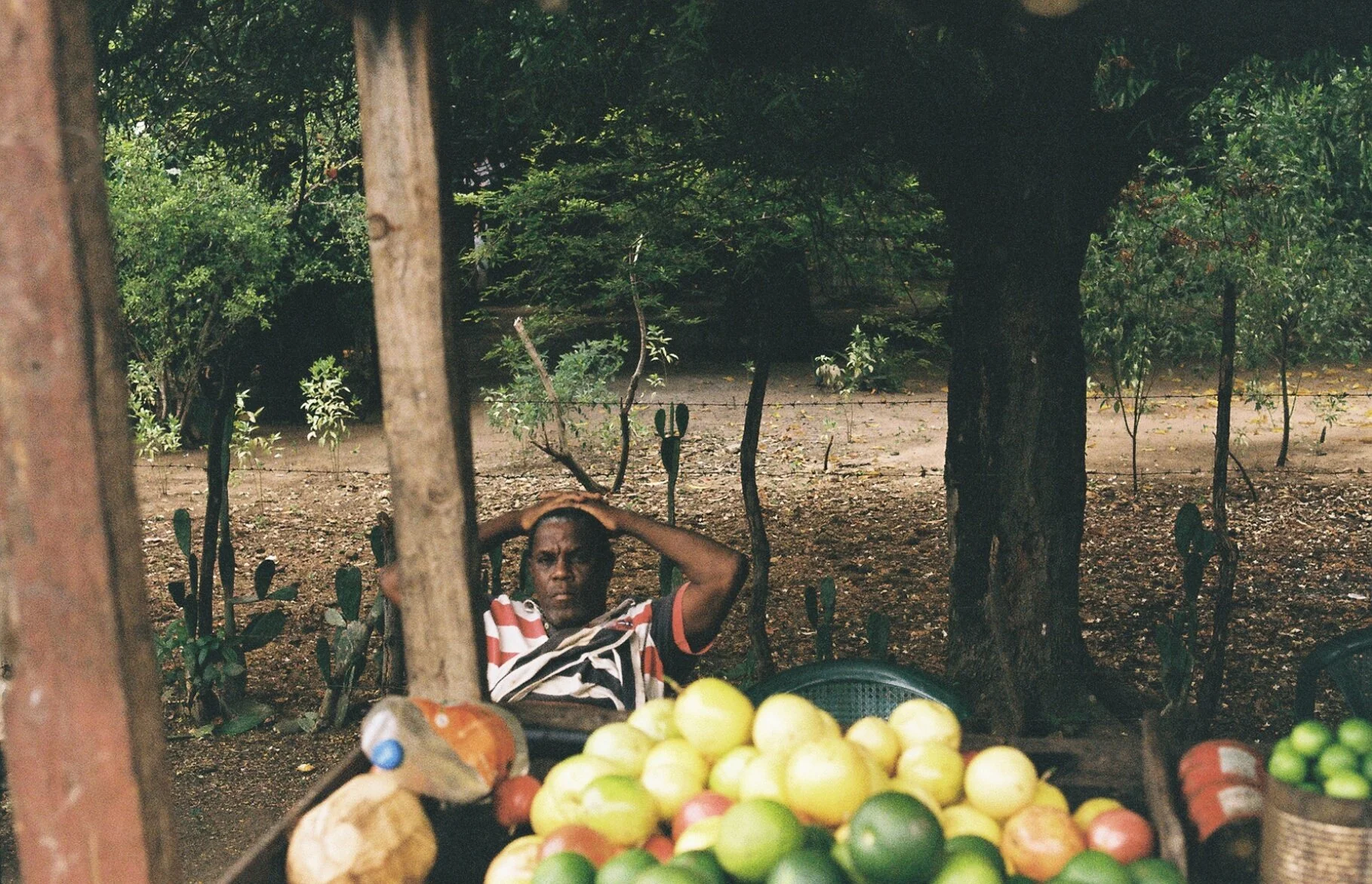 Comprando Frutas (2019)