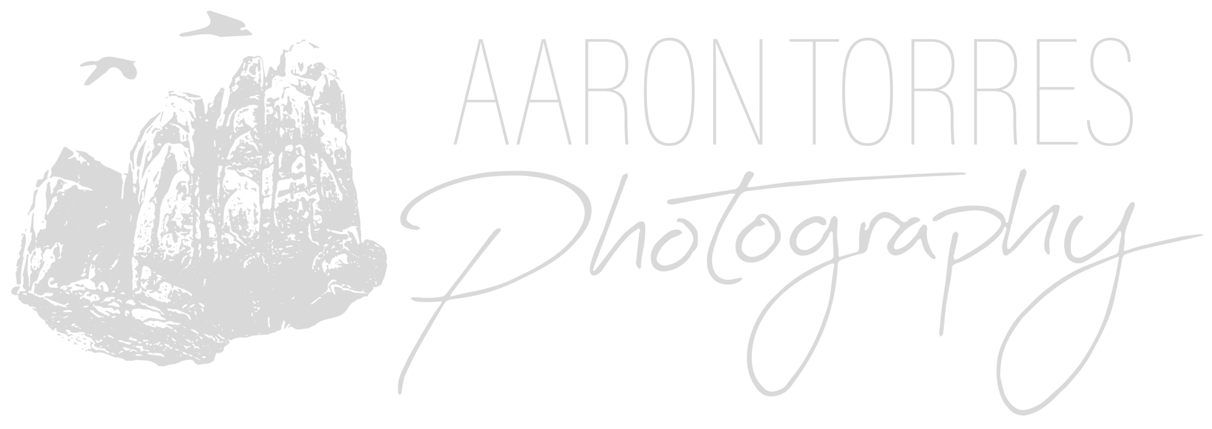Aaron Torres Photography