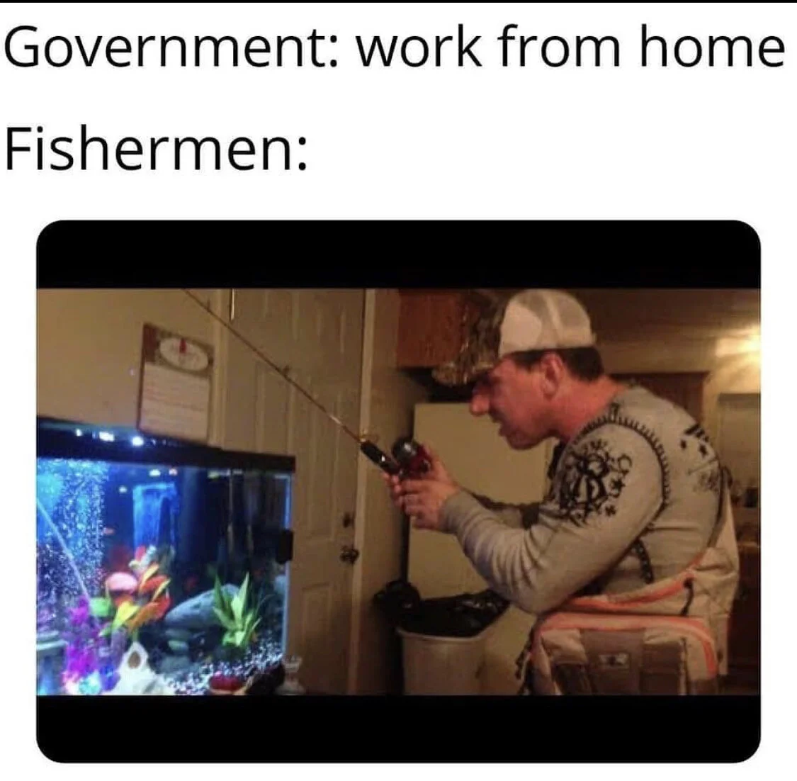 The World and It’s Fish