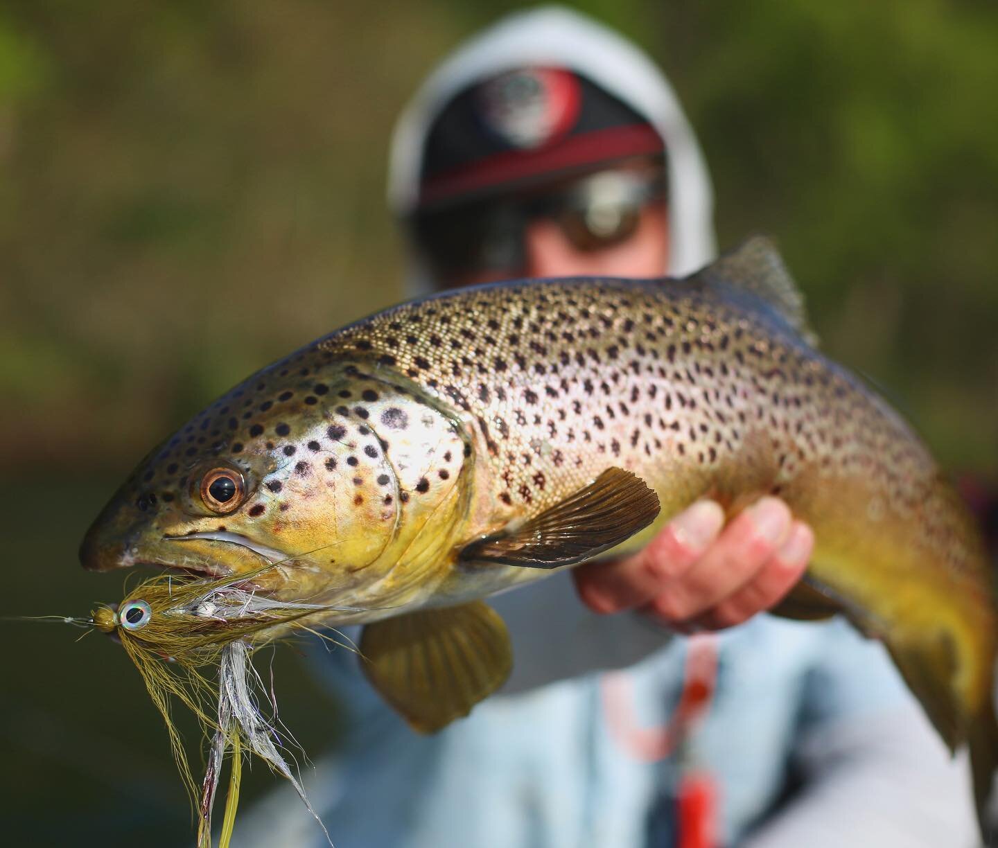 Fast water hen took a couple 2/0s to the face. 
&bull;
&bull;
&bull;
📸 @unclecolepurswell 
#riffletripoutfitters #flyfish #arkansas #whiteriver #catchandrelease #flyfishing #flyfisharkansas #streamereater #articulationnation #browntown #bigfish #bro