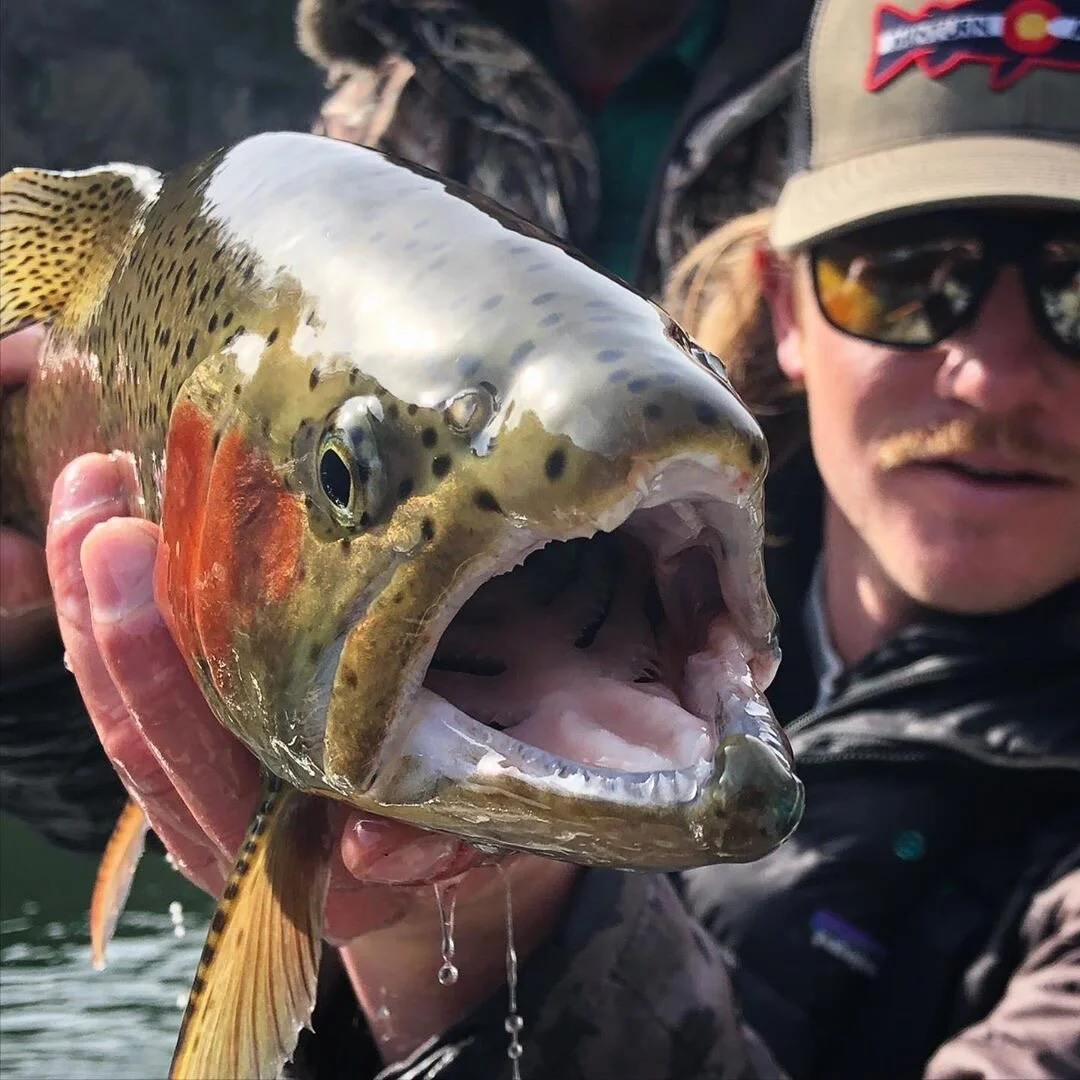 Protect our business partners...