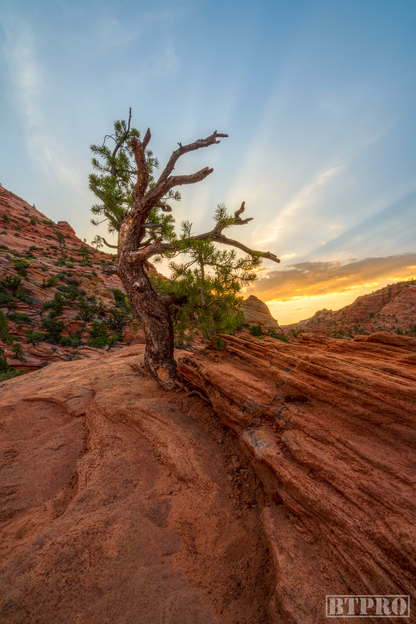 Sunrise at Canyon Overlook