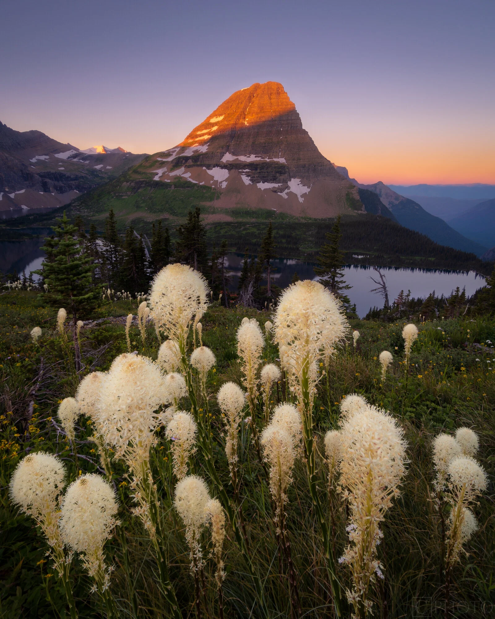 Beargrass at Hidden Lake Overlook