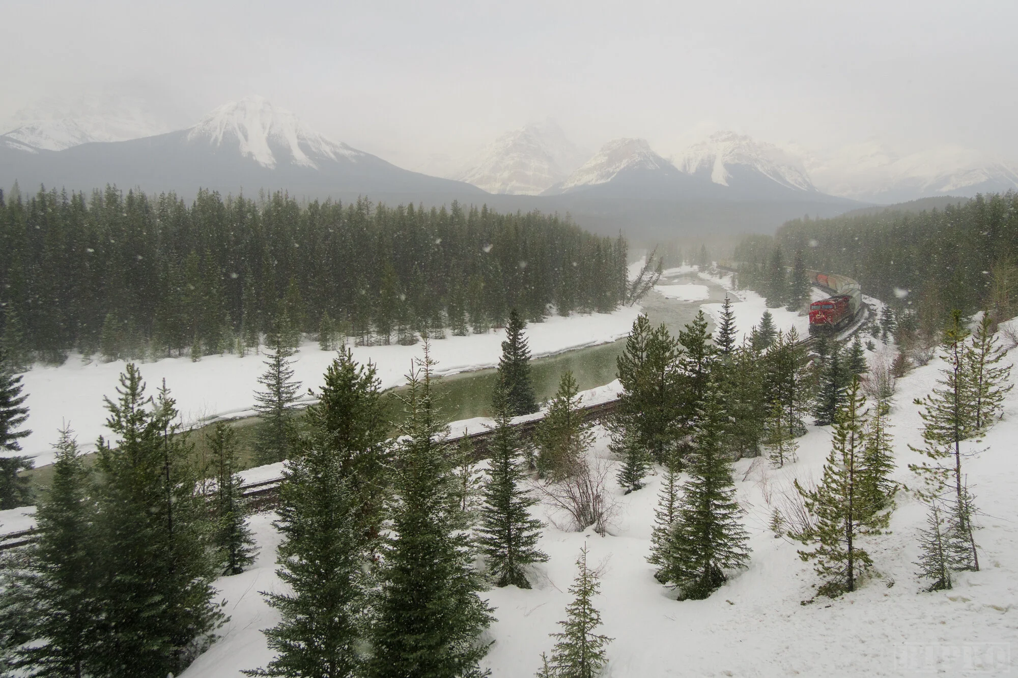 Snowy Day at Morant’s Curve