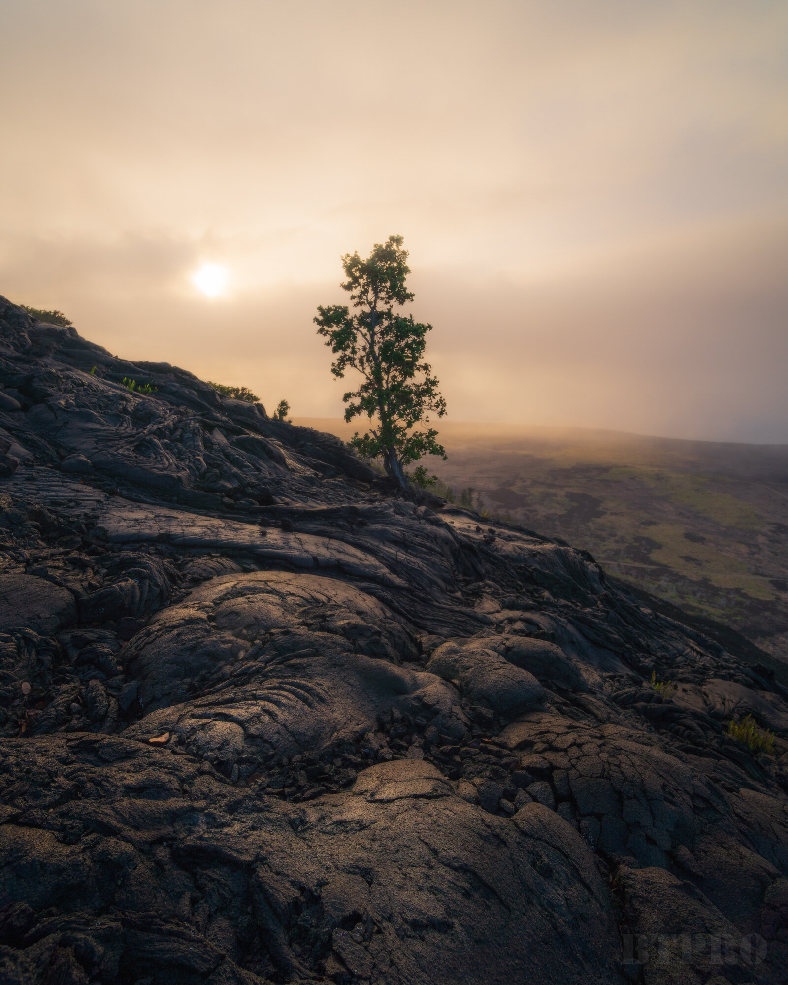 Sunrise at Volcanoes National Park