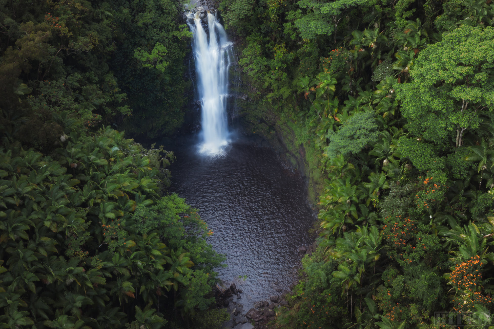 Drone Shot of a Hidden Waterfall Near Hilo