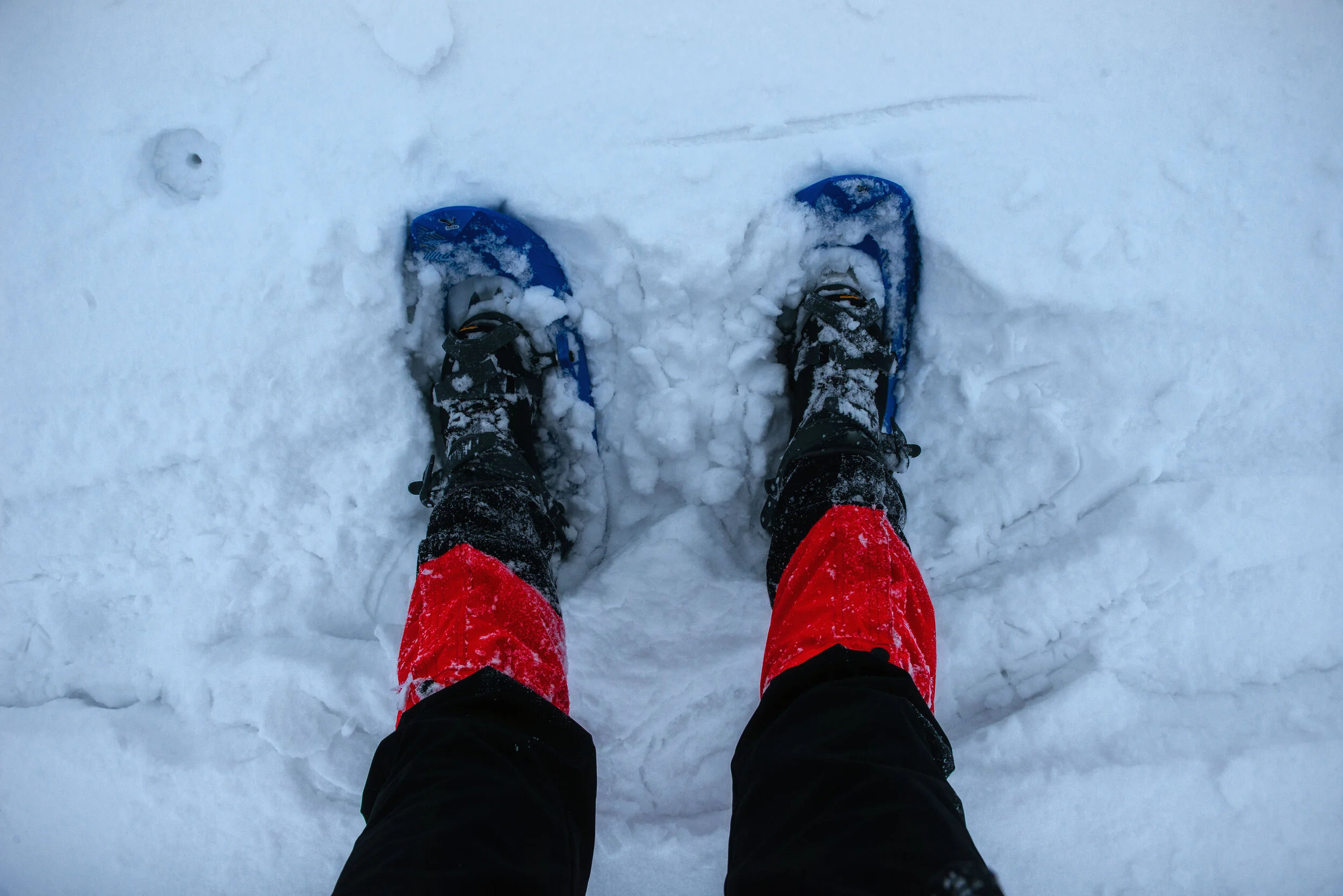Snowshoes