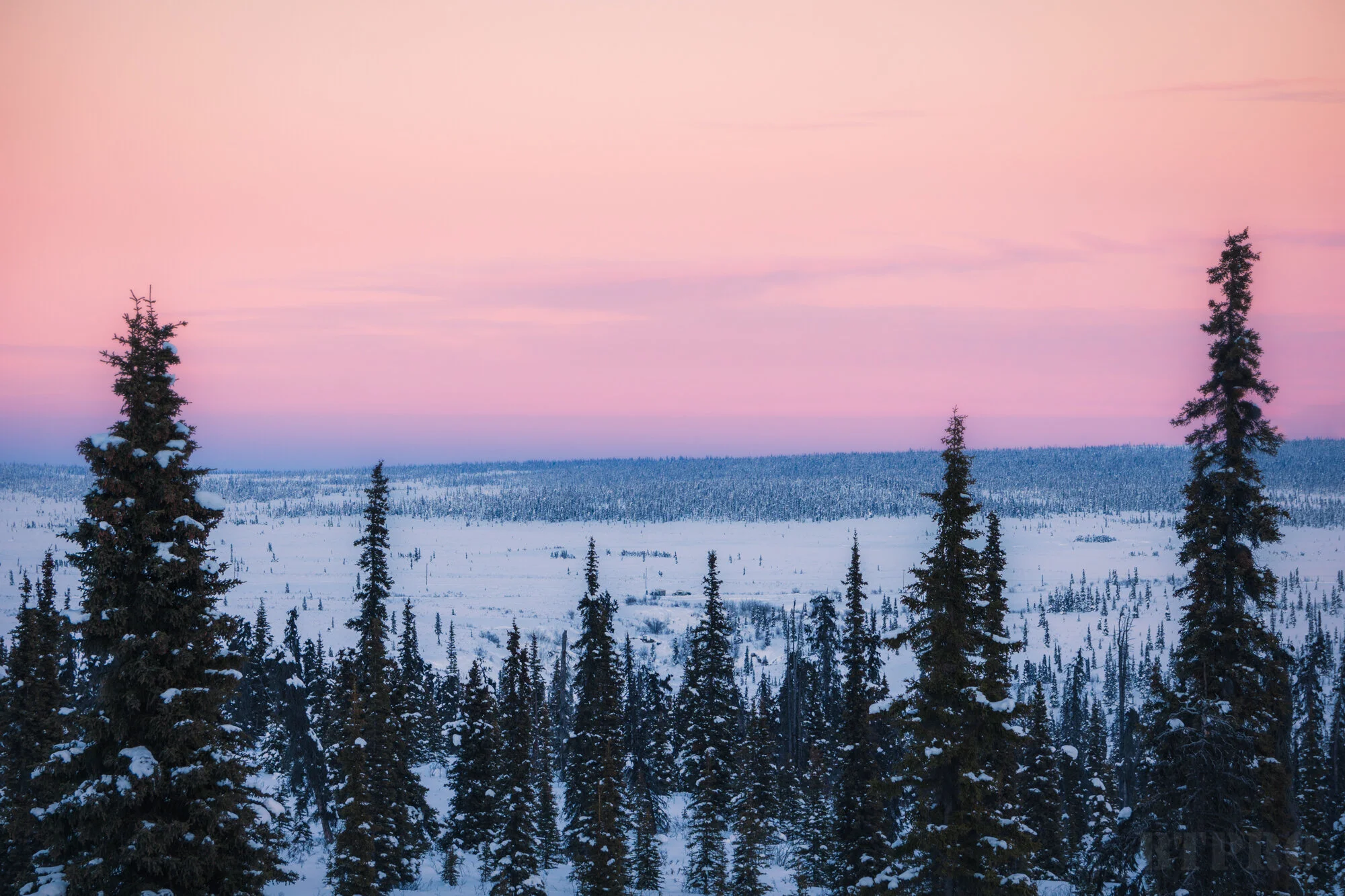 Pastel Pinks on Glenn Highway