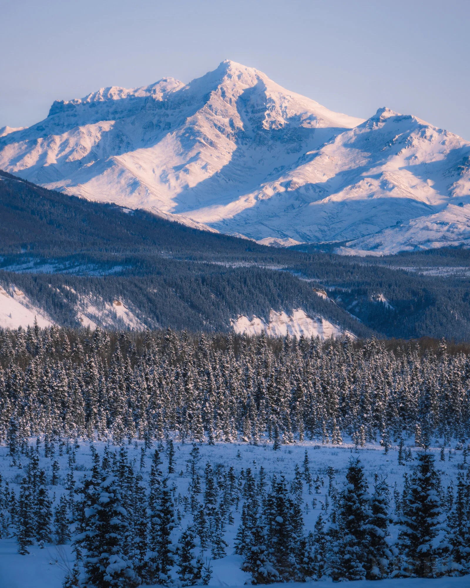 Sunrise Outside Denali National Park