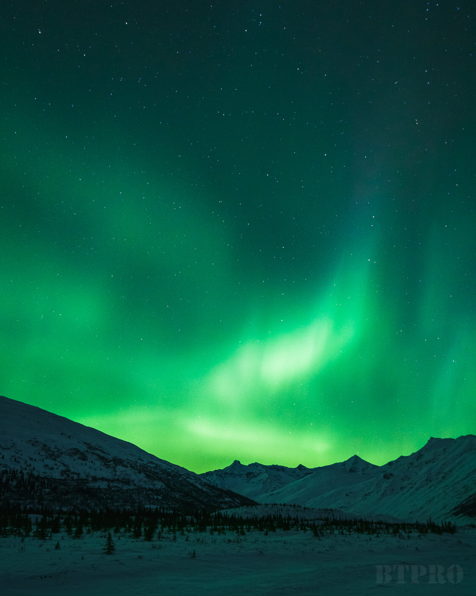 Auroras in Paxson