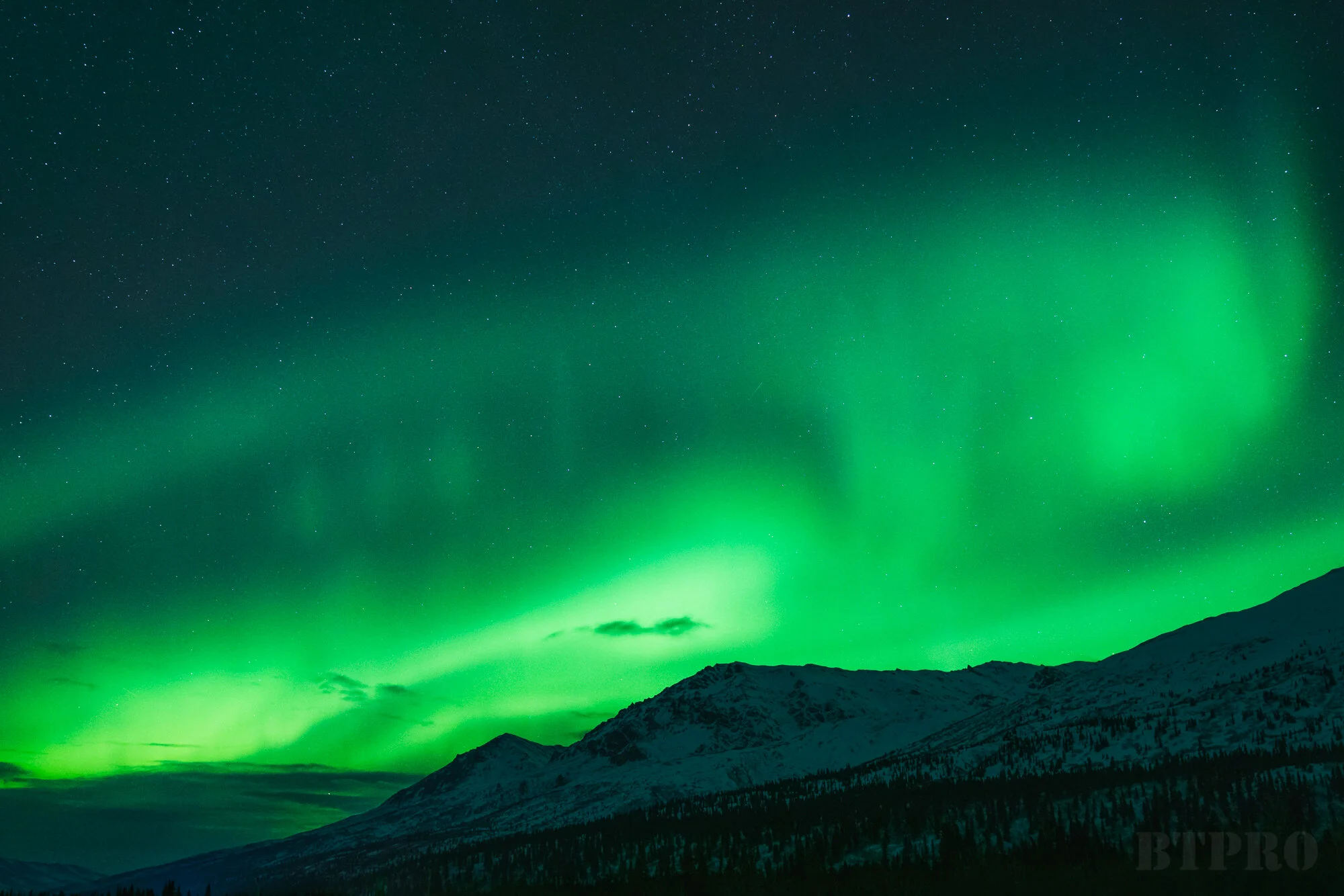Auroras in Paxson