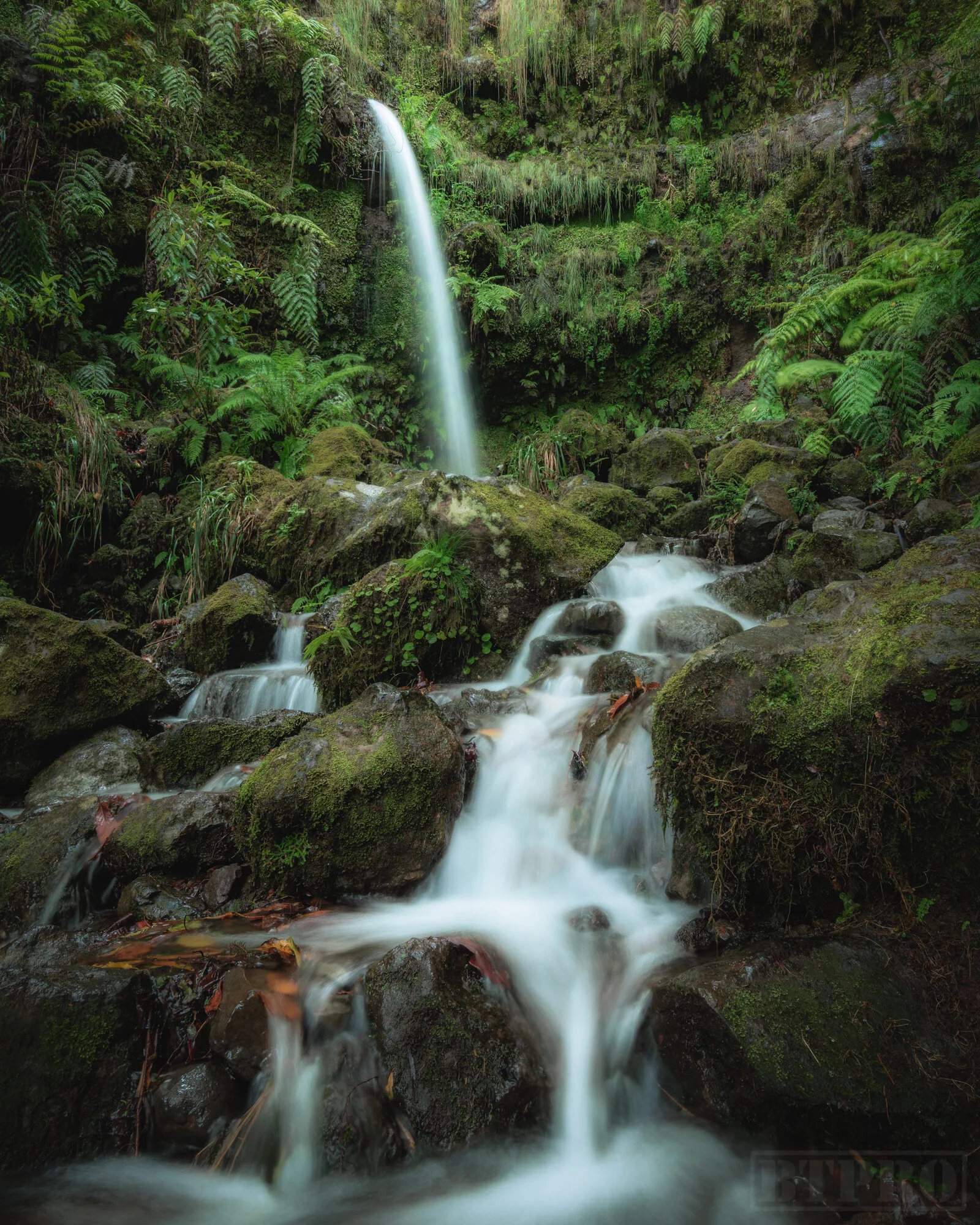 Small Waterfall Along the Hike
