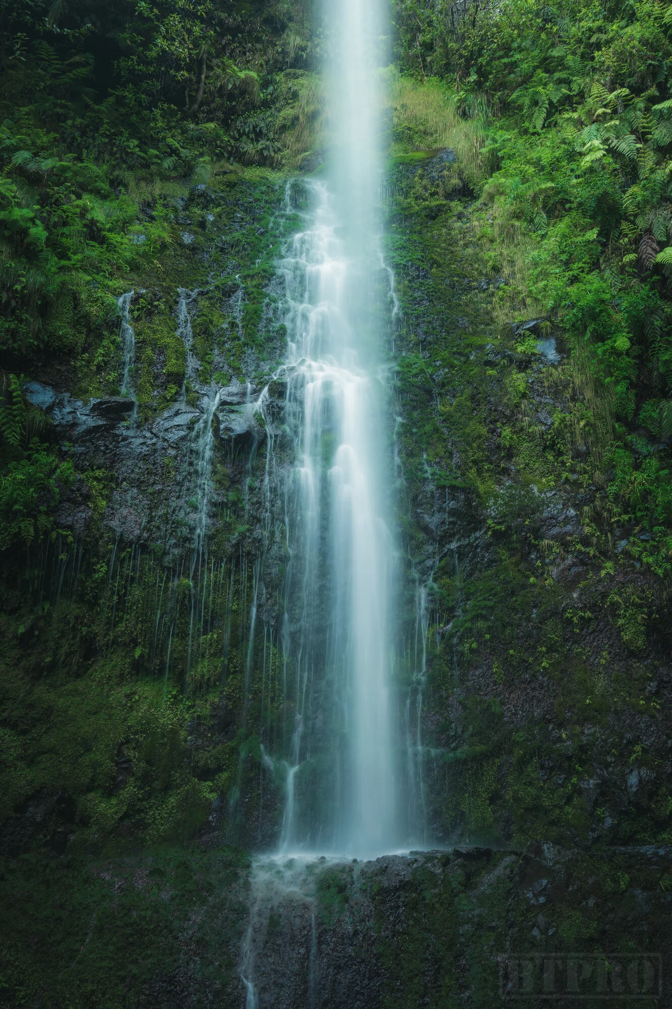 Second Waterfall Along the Hike