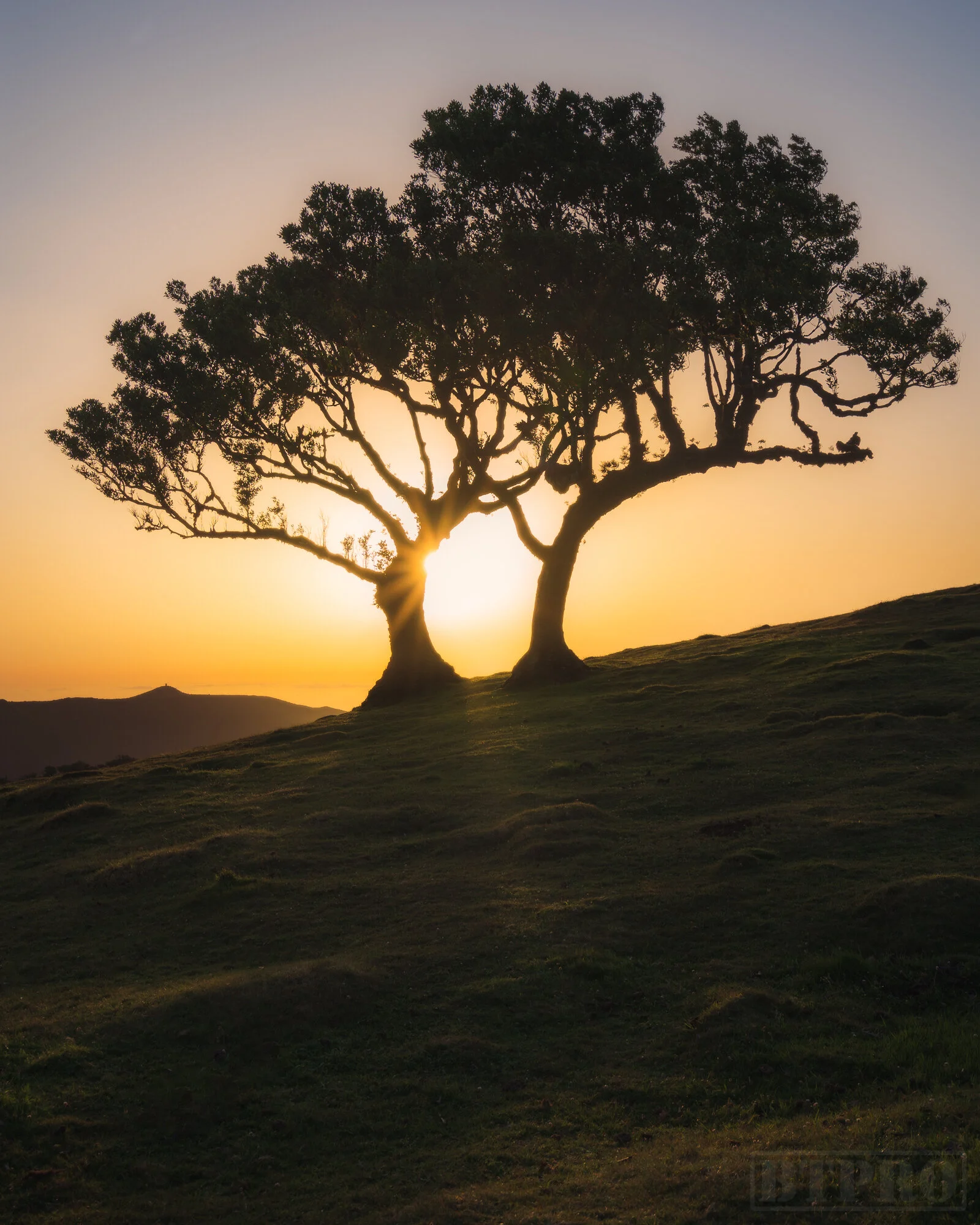 Sunset at Fanal