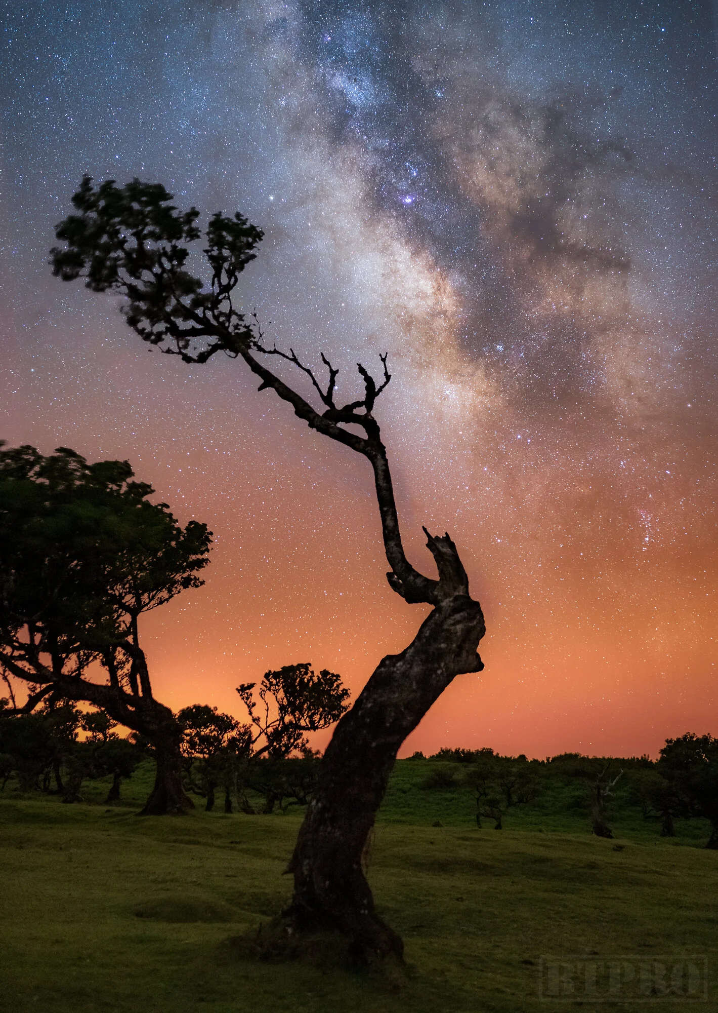 Astrophotography in Fanal