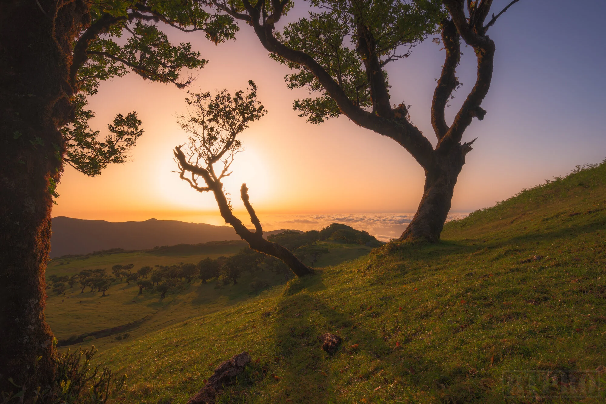 Sunset in Fanal