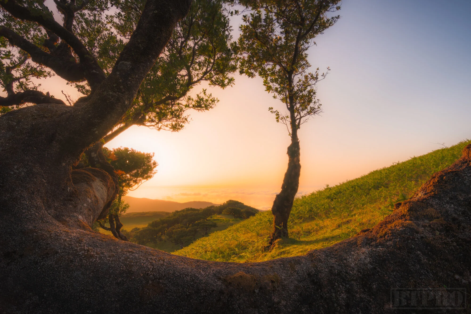 Sunset in Fanal