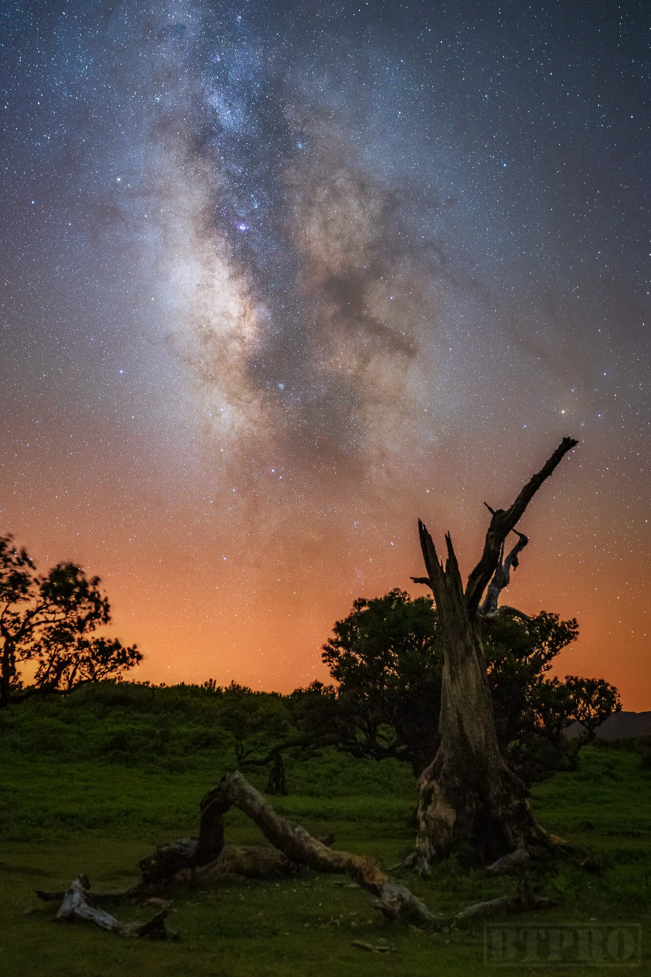 Astrophotography in Fanal