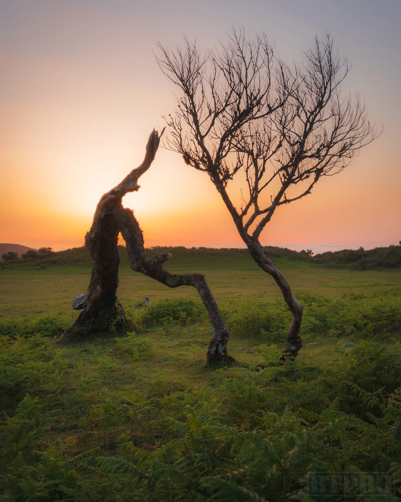 Sunset in Fanal