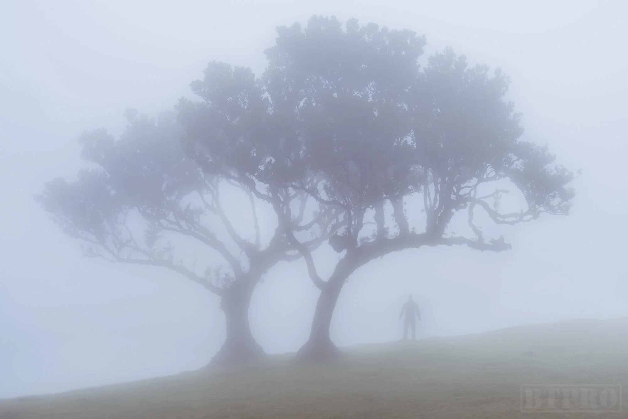 A Foggy Day in Fanal