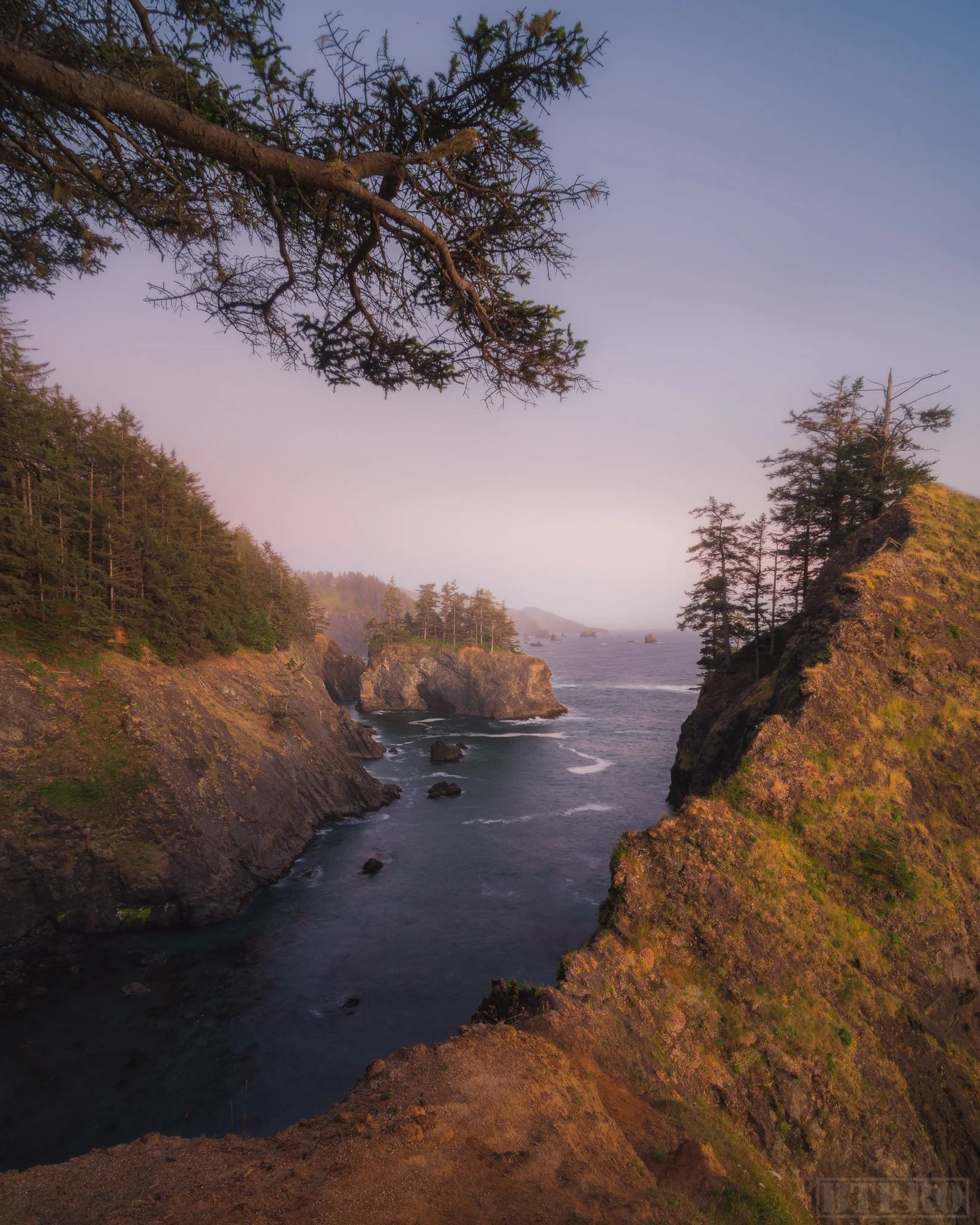 _DSC4282-Edit.jpg