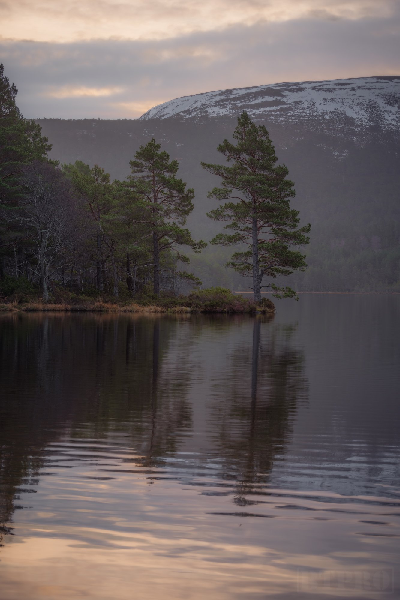 _DSC7348-Edit.jpg
