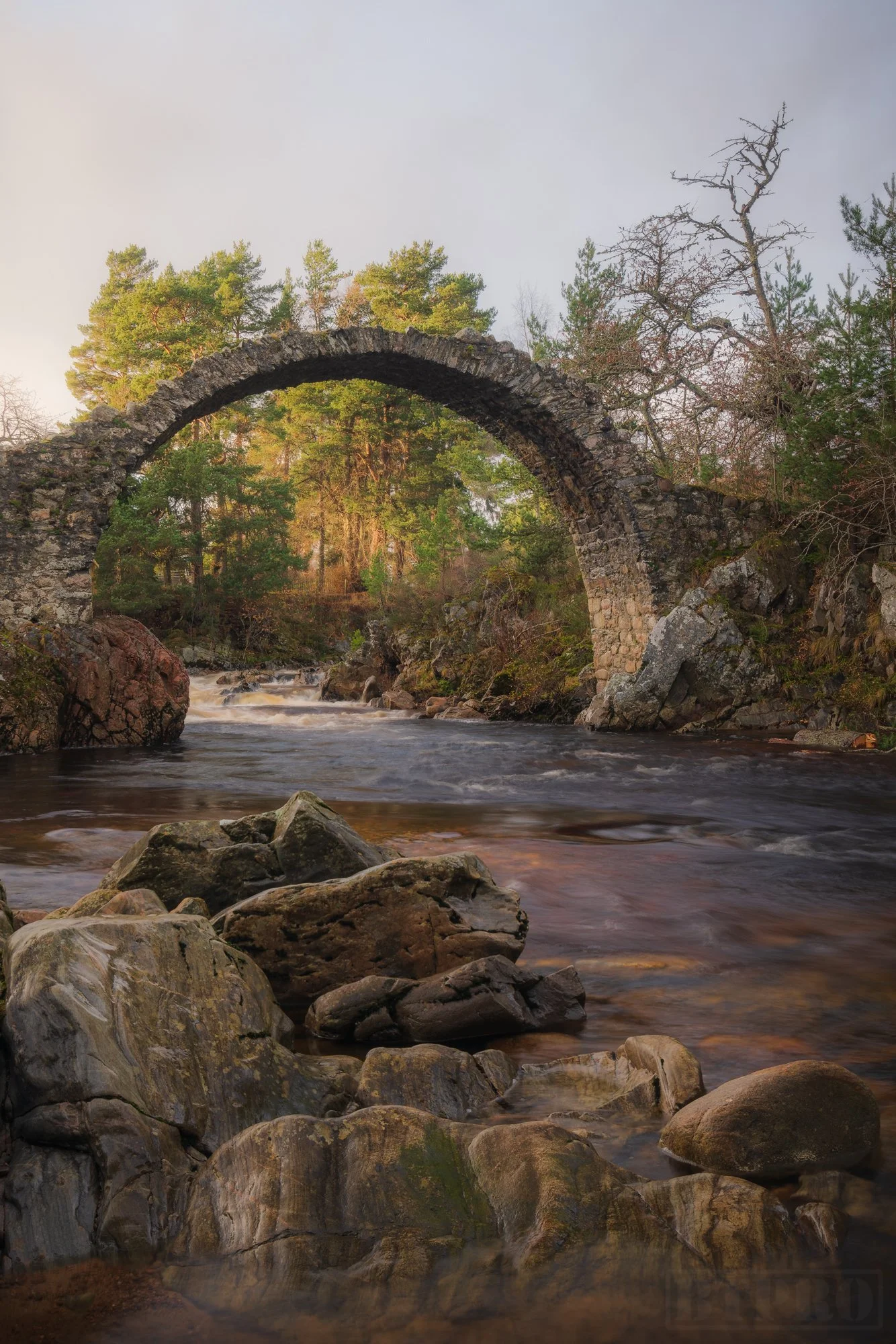_DSC7101-Edit.jpg