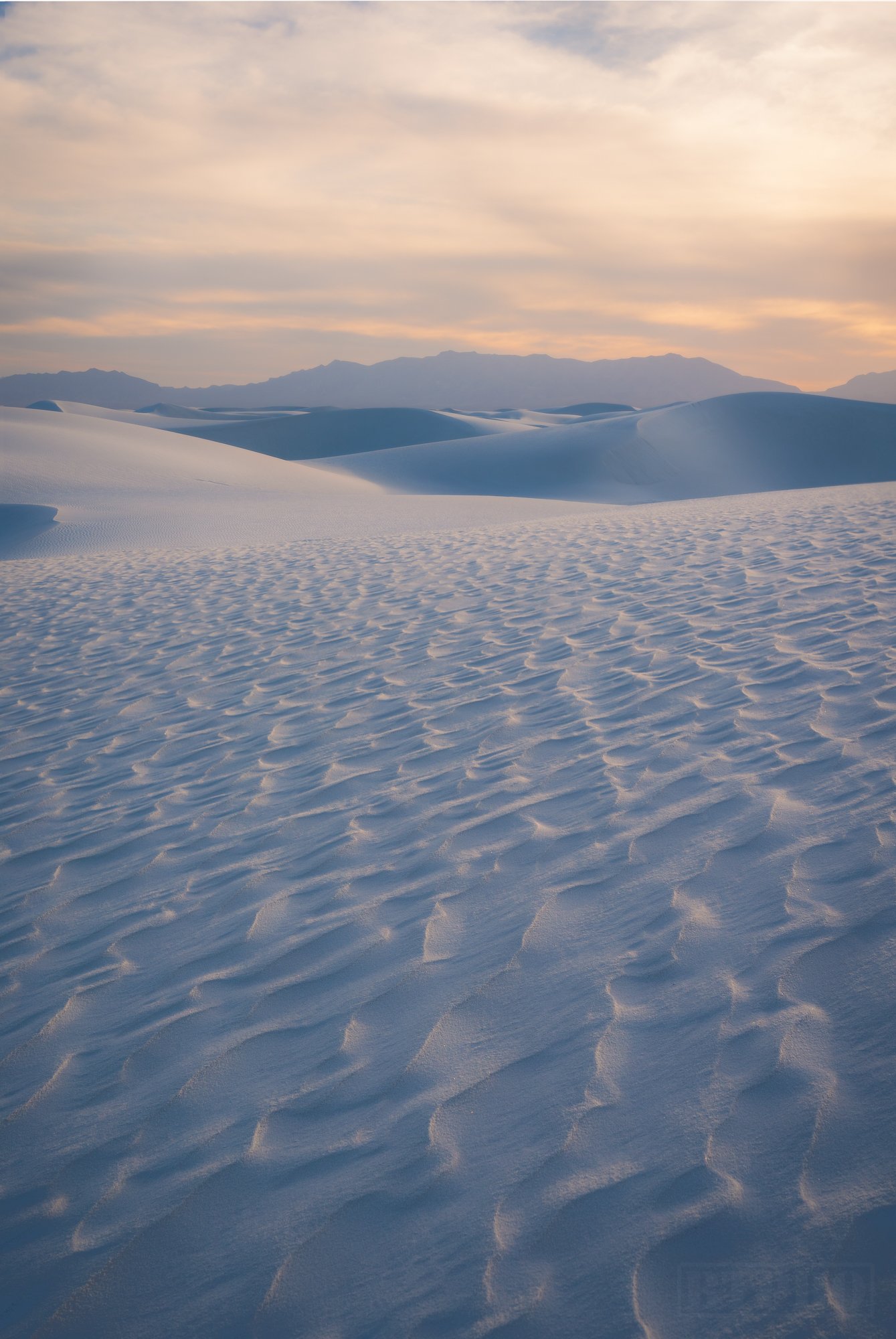 _DSC7606-Edit.jpg