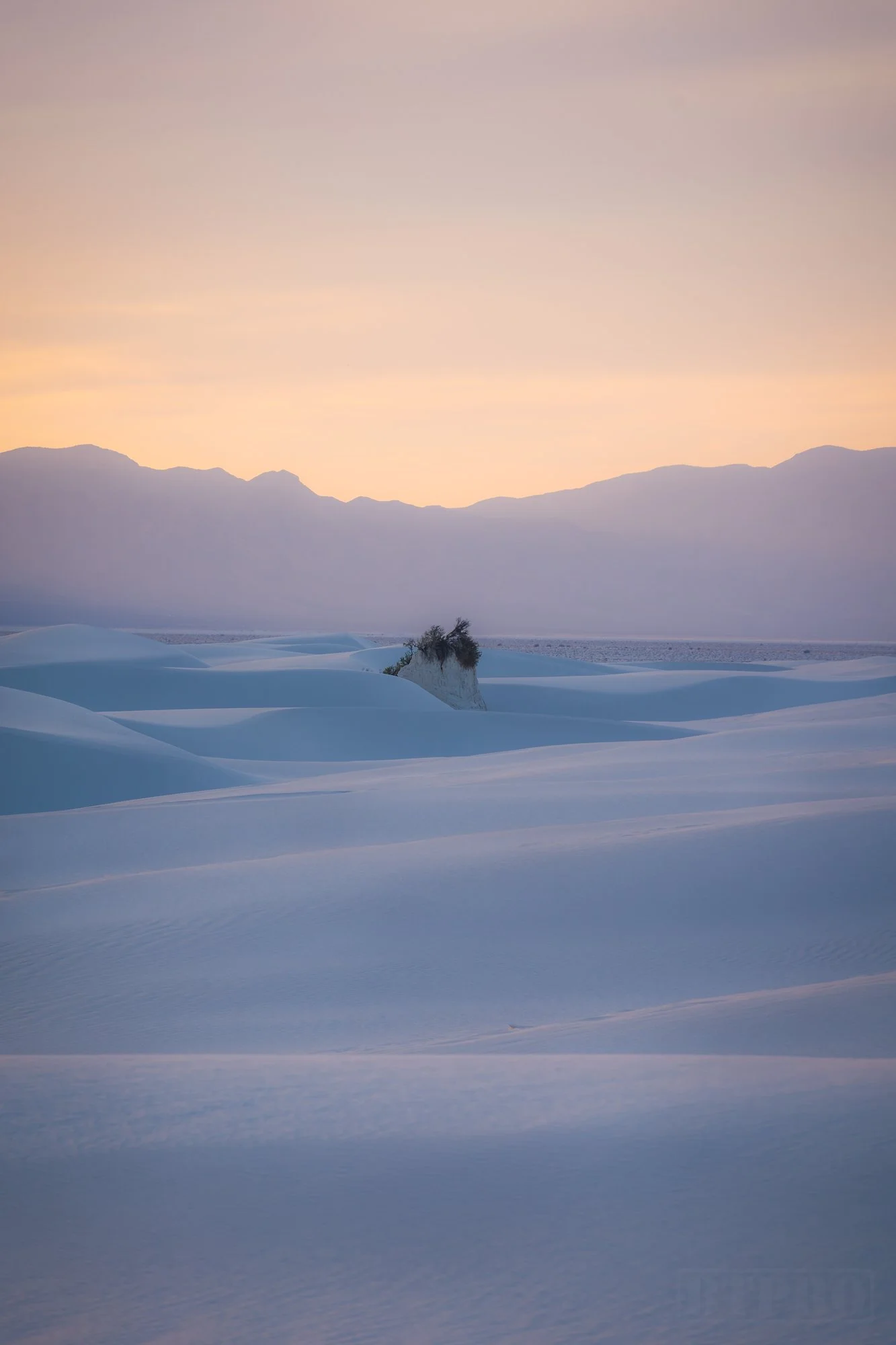 _DSC7660-Edit.jpg