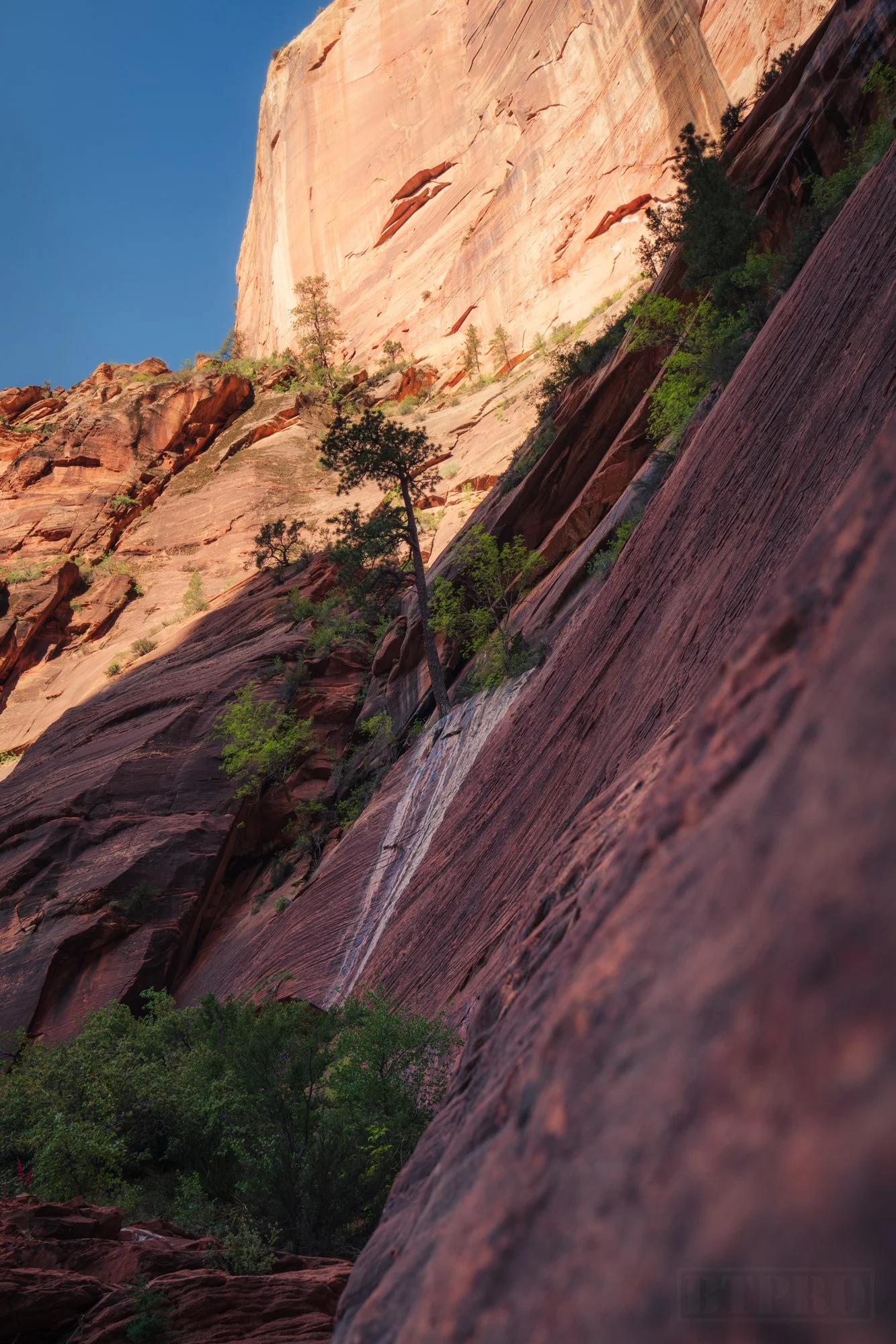 _DSC1588-Edit.jpg