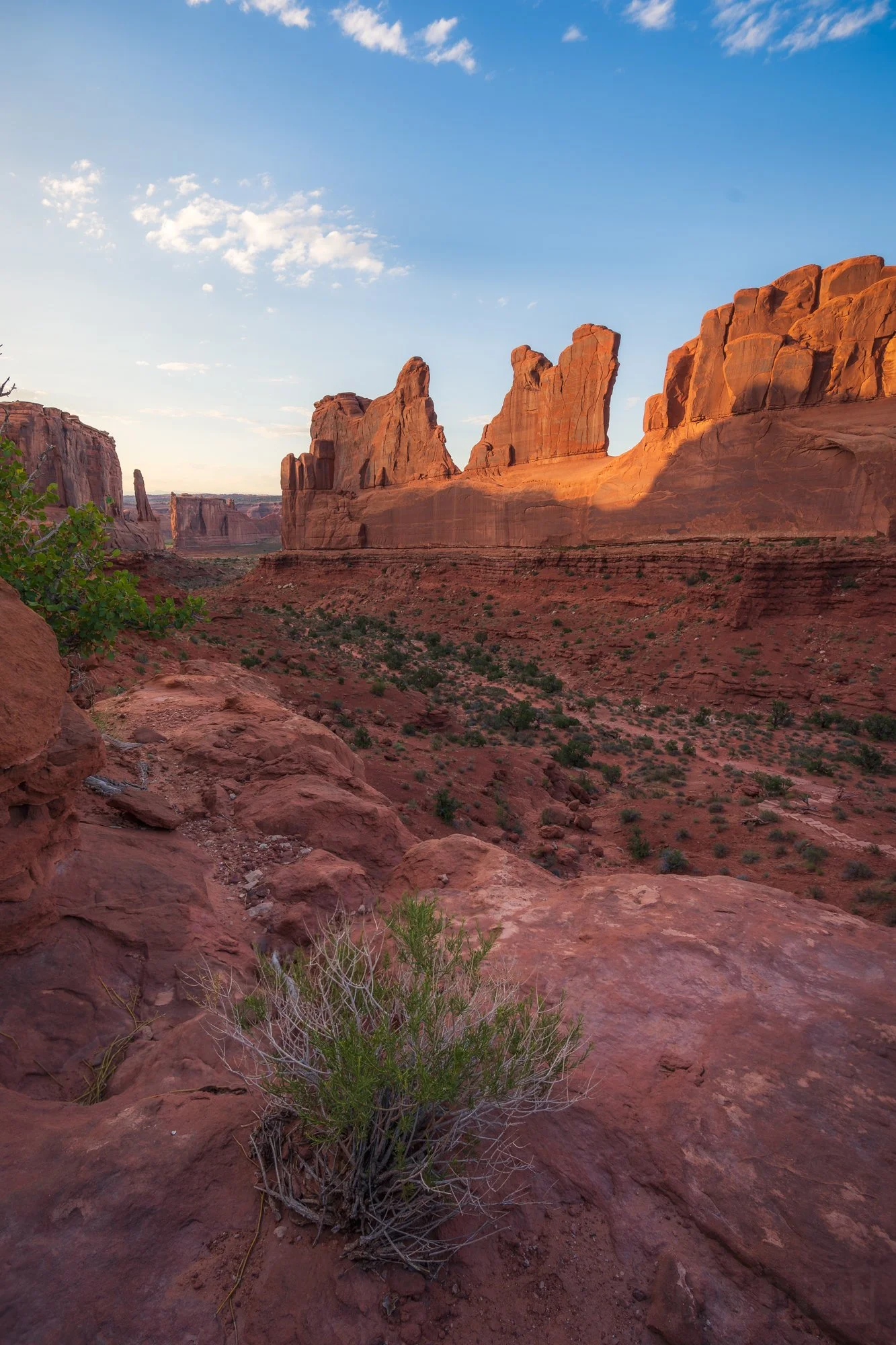 _DSC4110-Edit.jpg