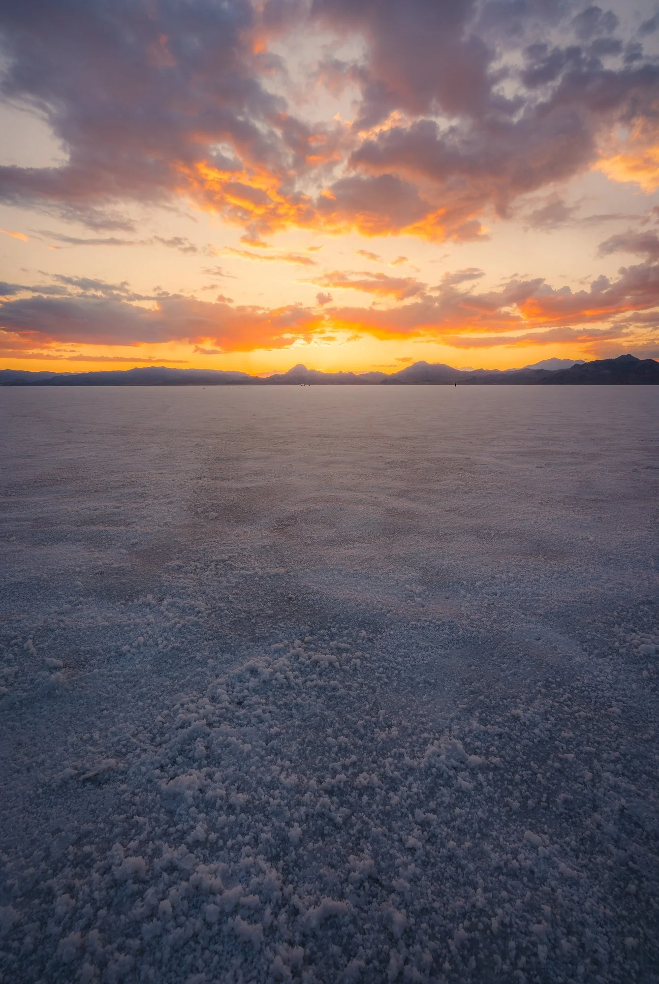 _DSC3131-Edit.jpg