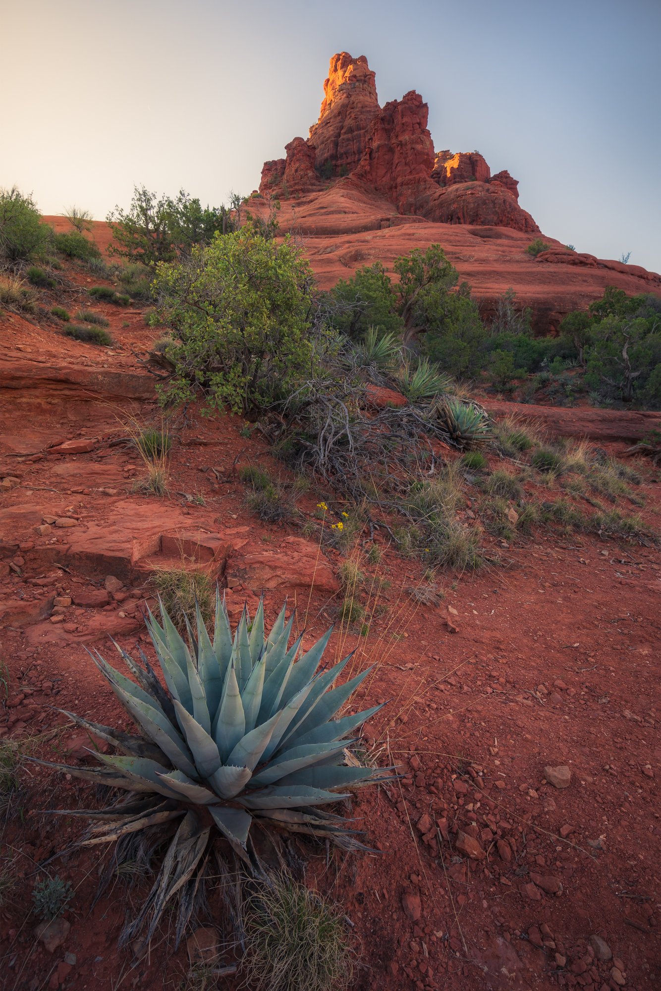 _DSC8736-Edit.jpg