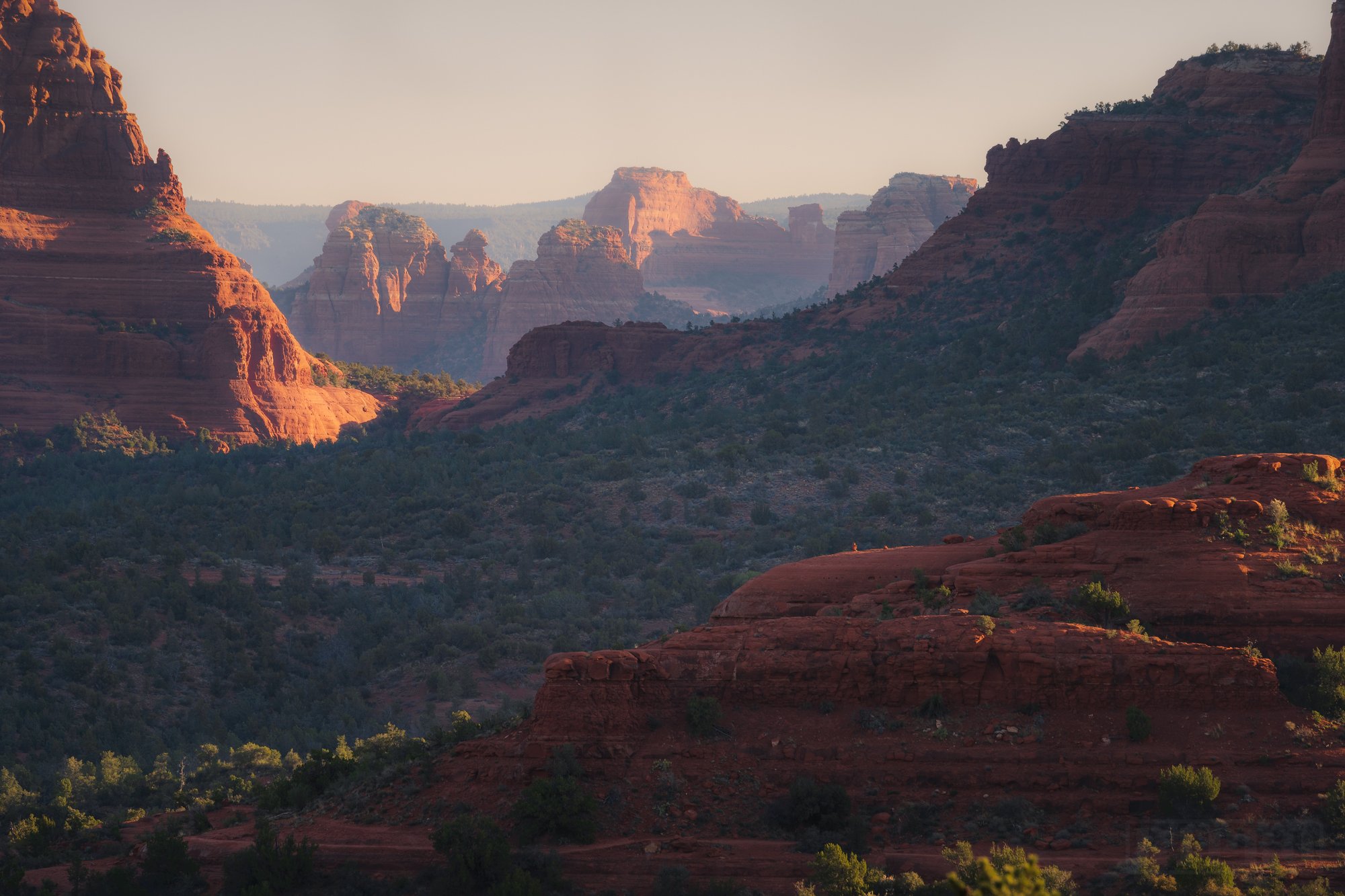 _DSC8754-Edit.jpg