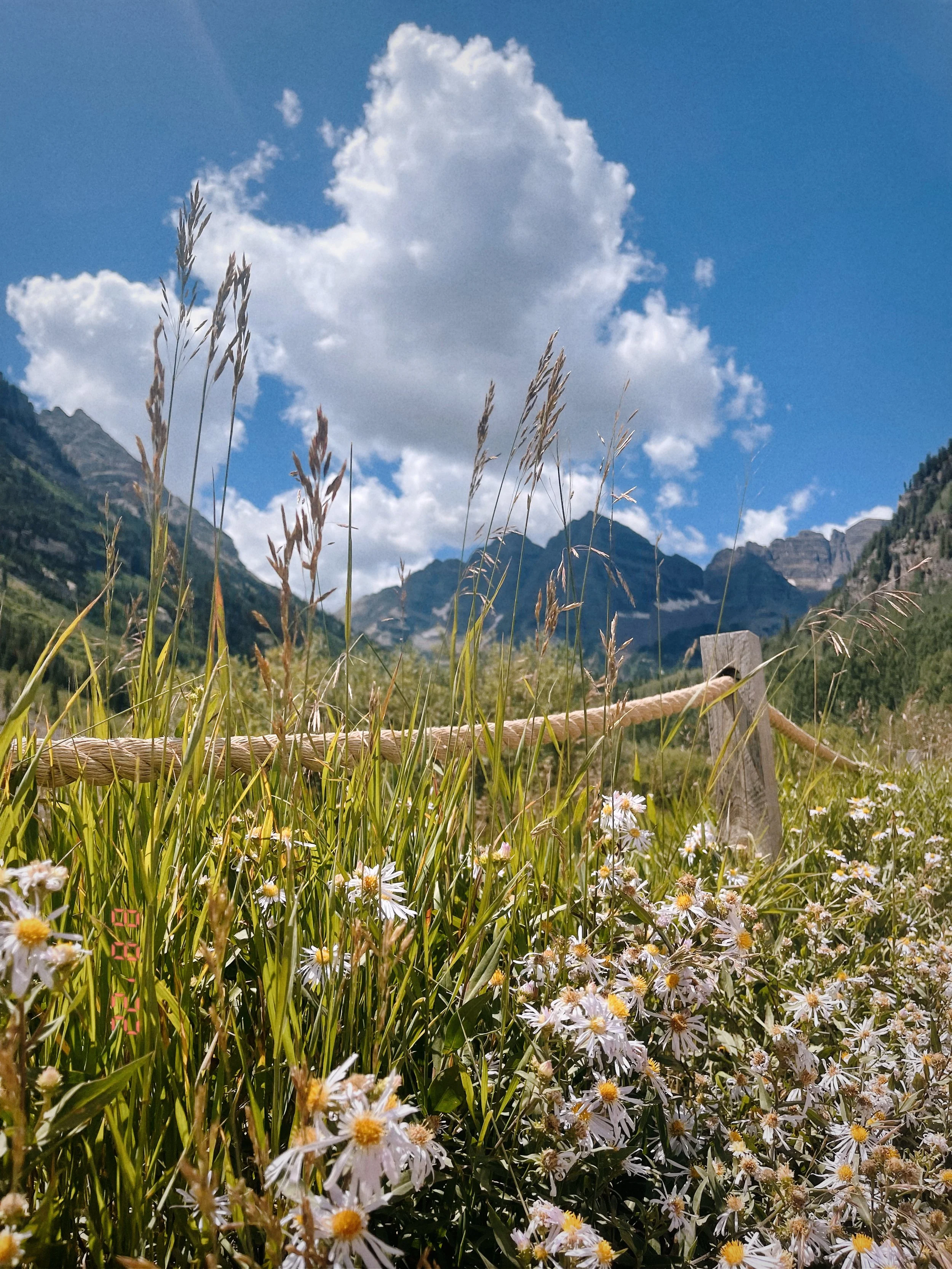 Summer in Aspen: The Ultimate Colorado Mountain Guide