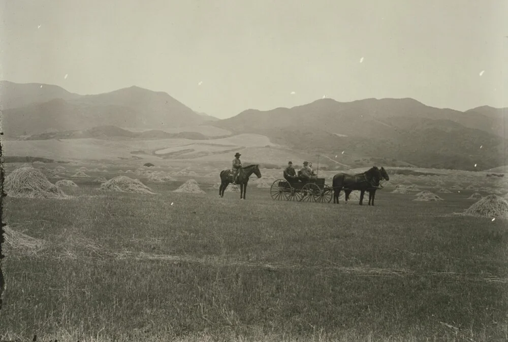 Radcliff and de Pau hay fields, 1914 Zola Clearwater Collection