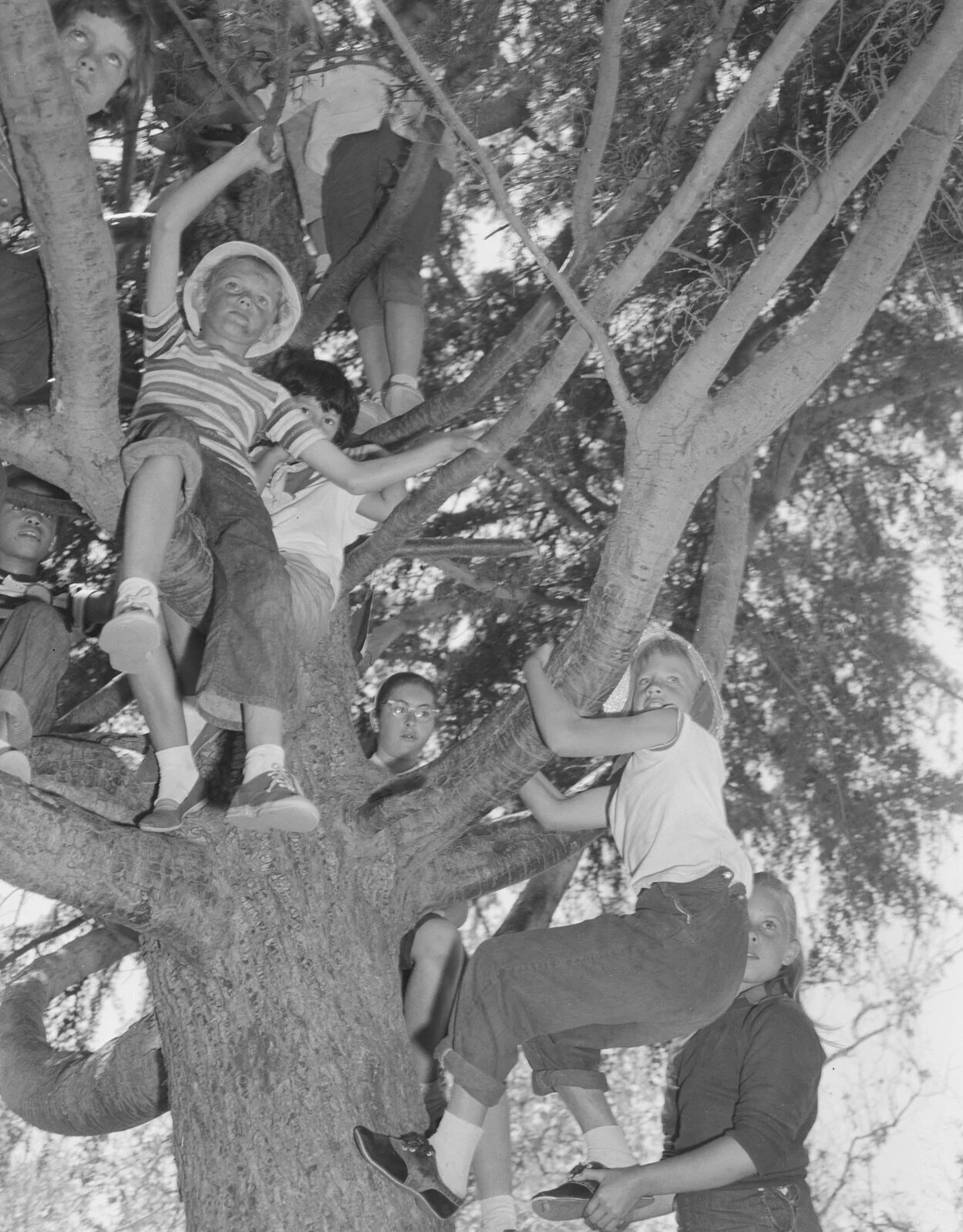 Neighborhood Climbing Association, 1961