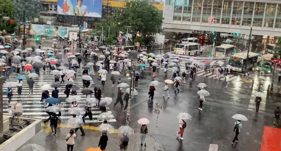 Rainy reflections: Why Japan loves umbrellas and Denmark prefers raincoats