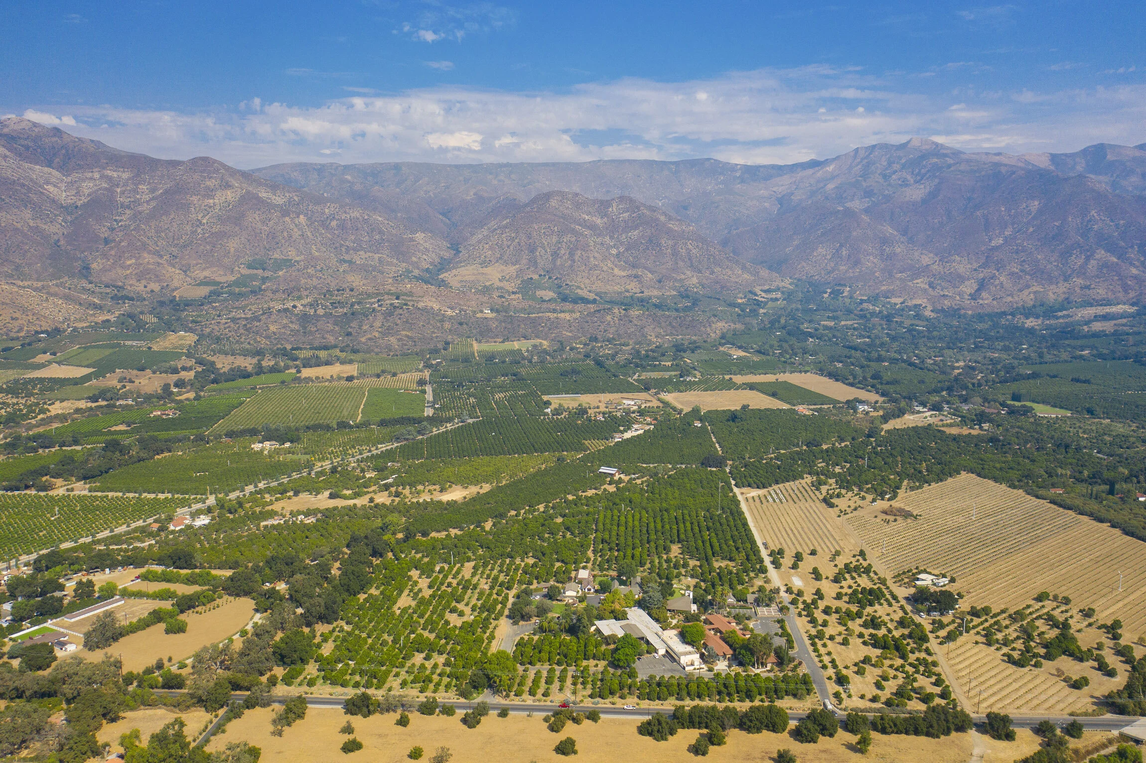 2464 E. Ojai Ave_0002.jpg