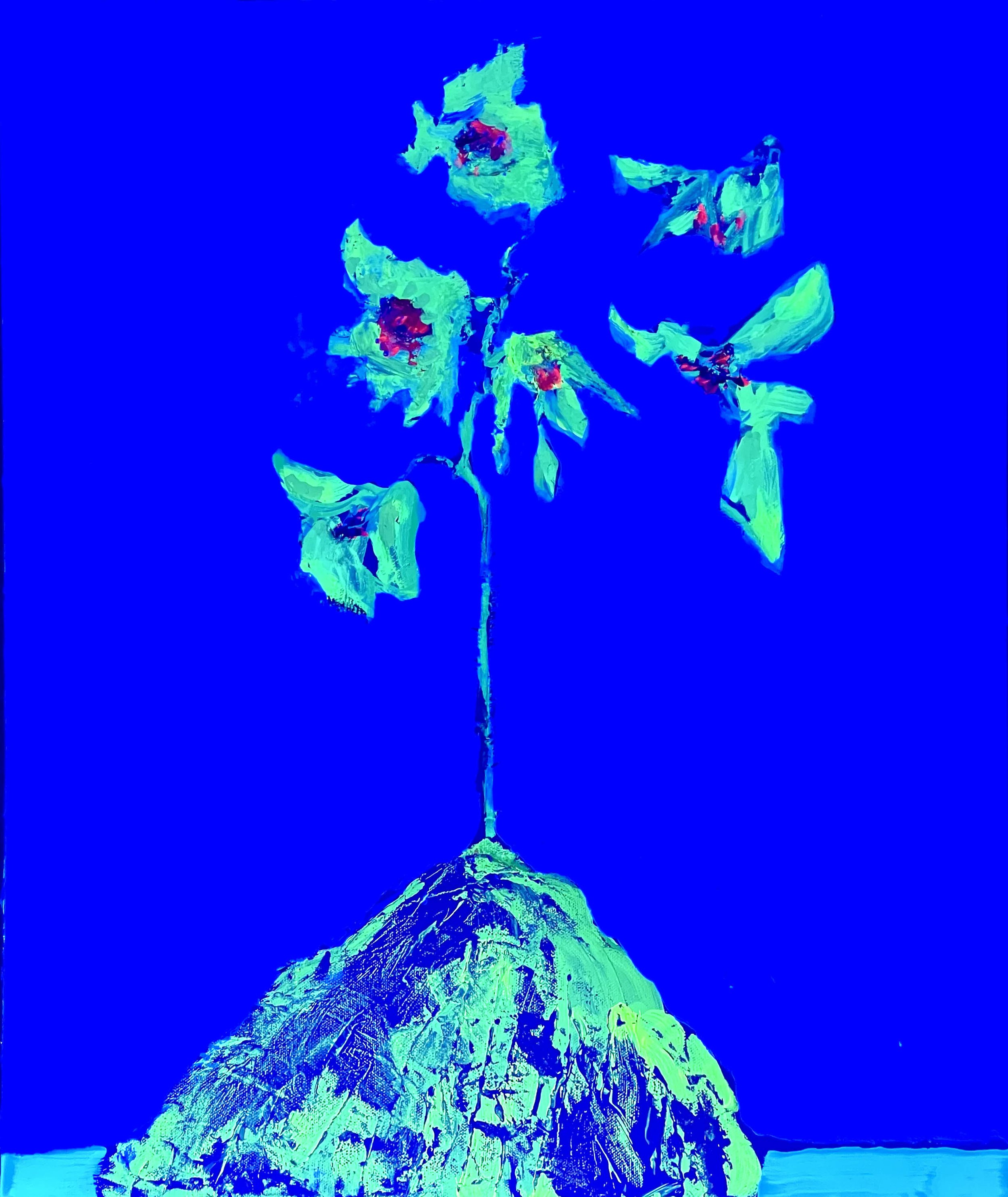 Bloom Algorithm in Blue BL.jpg