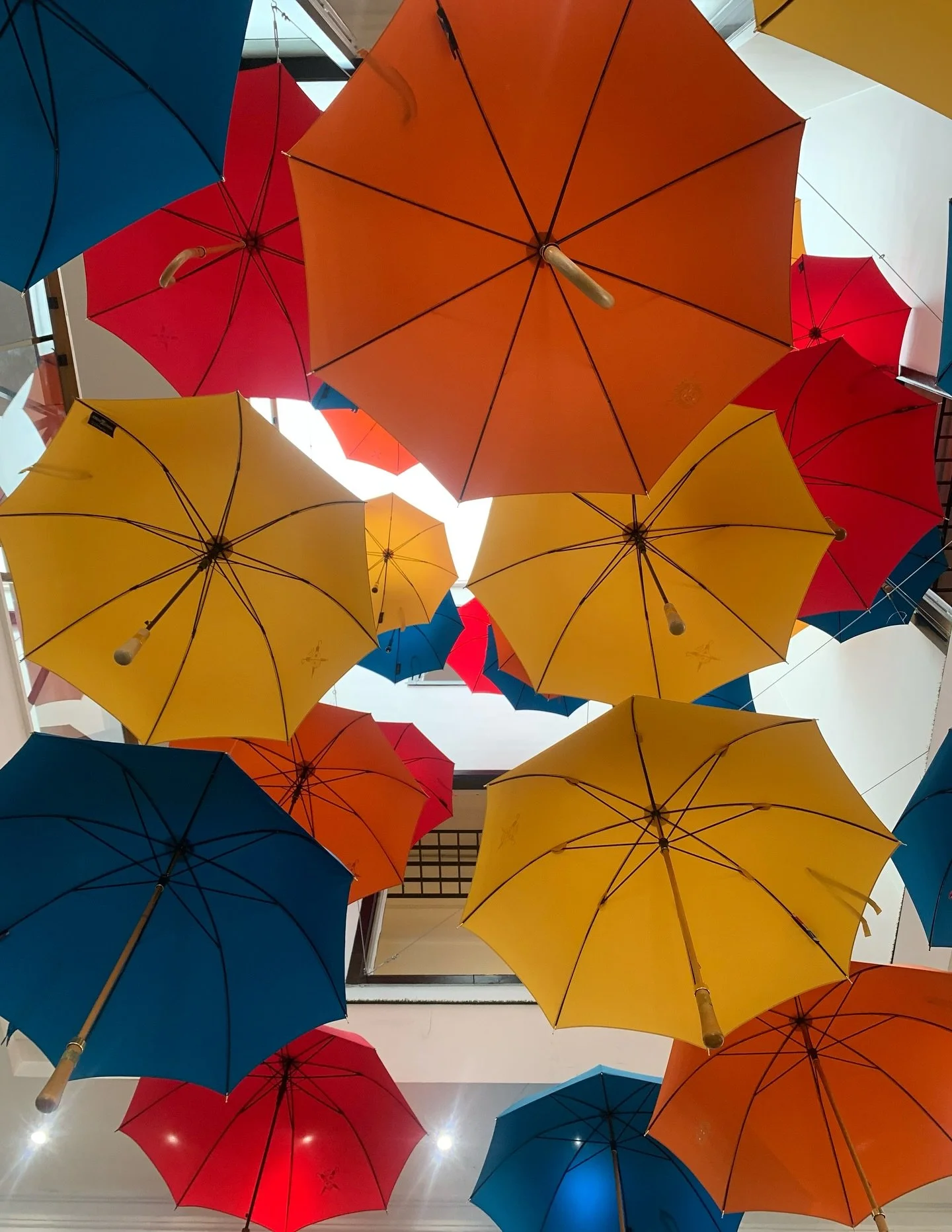 Sydney rain - again we reach for an umbrella before stepping outside our door.

The Umbrella of Cherbourg | Le Parapluie de Cherbourg
I recently visited the Cherbourg boutique located along the harbourside walk of the port, where strong sea winds fro