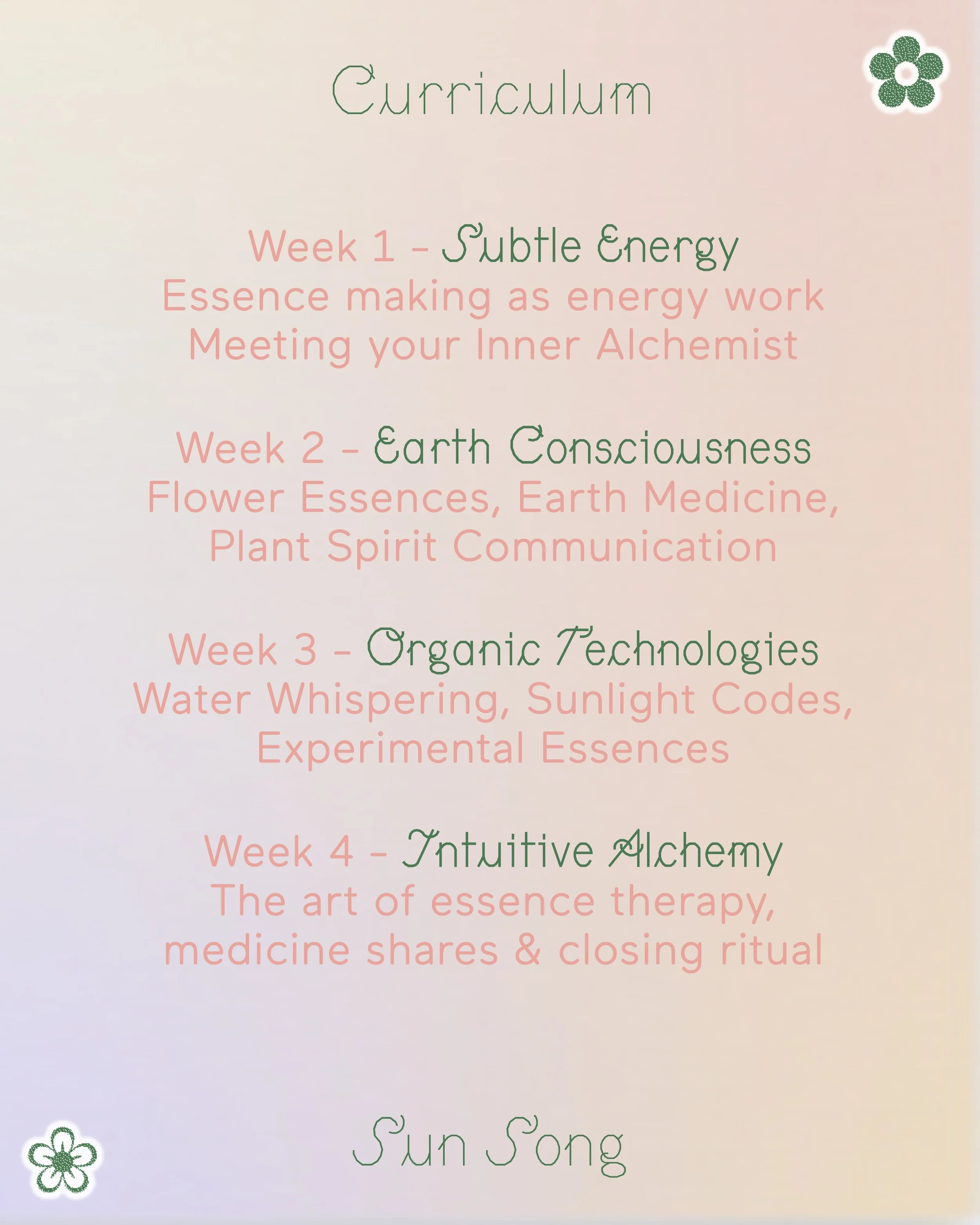 SSEED Flyer 6.jpg