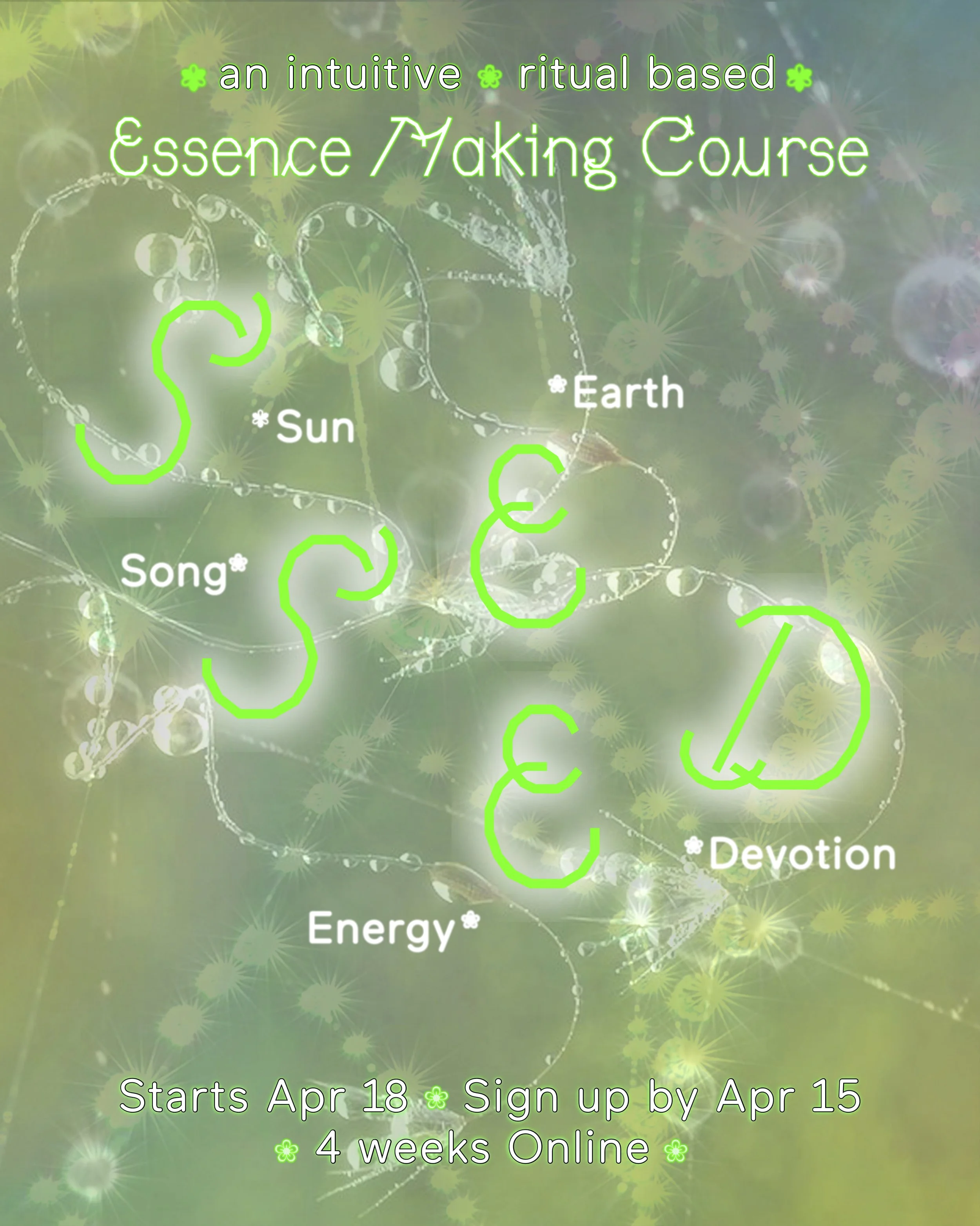 SSEED Flyer 1 jpg.jpg