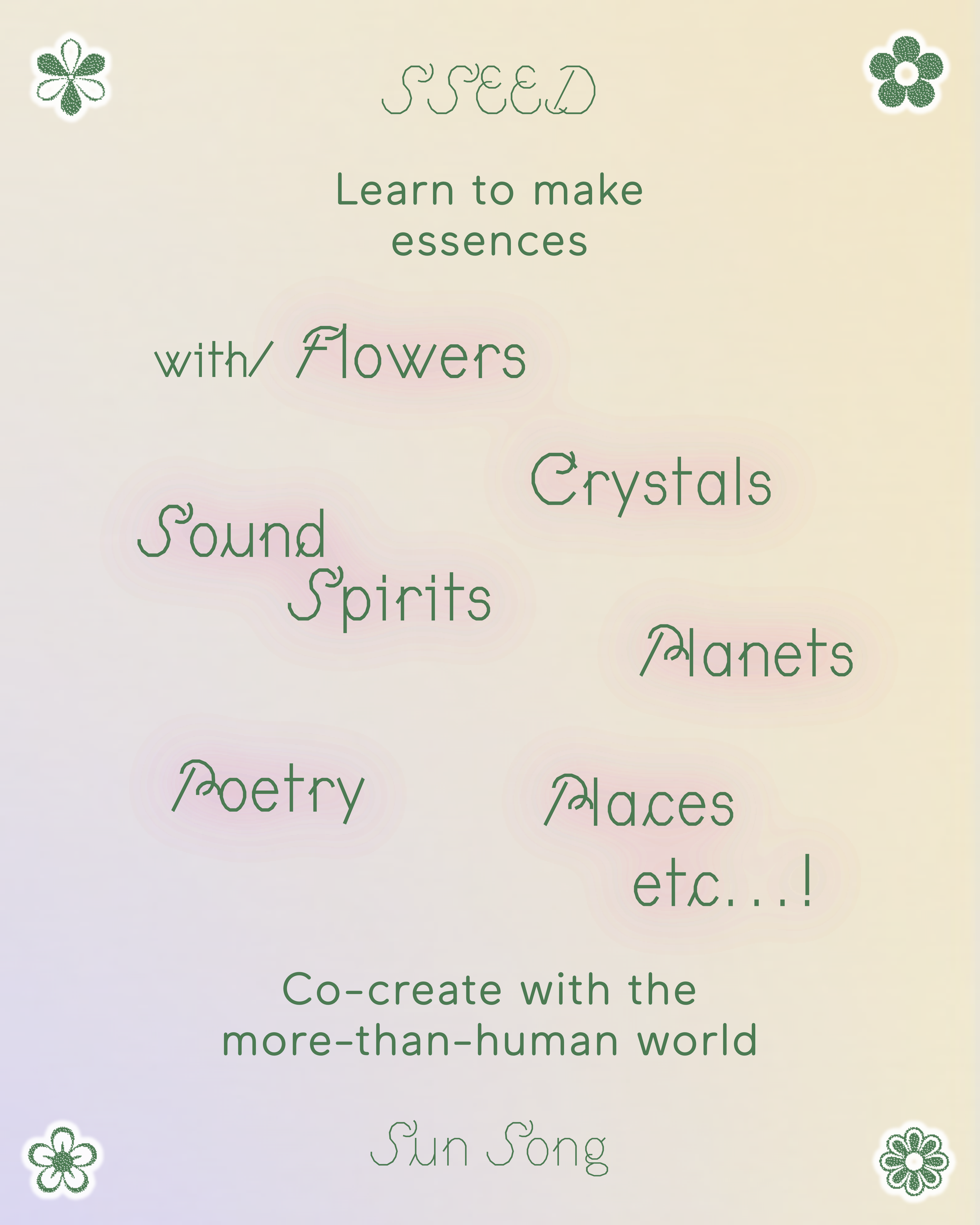 SSEED Flyer 2.png
